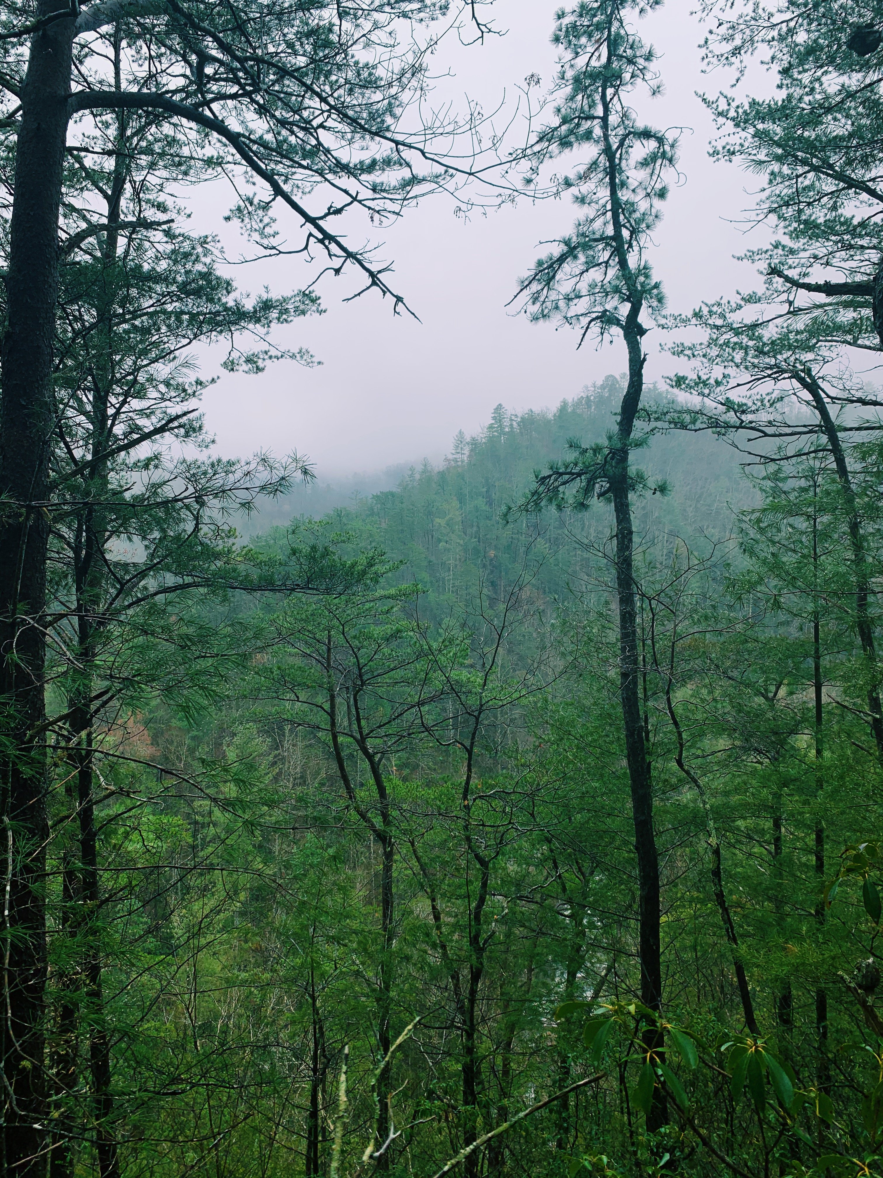 img 2595jpg by Casey Land?width=698&height=466&fit=crop&auto=webp&dpr=4