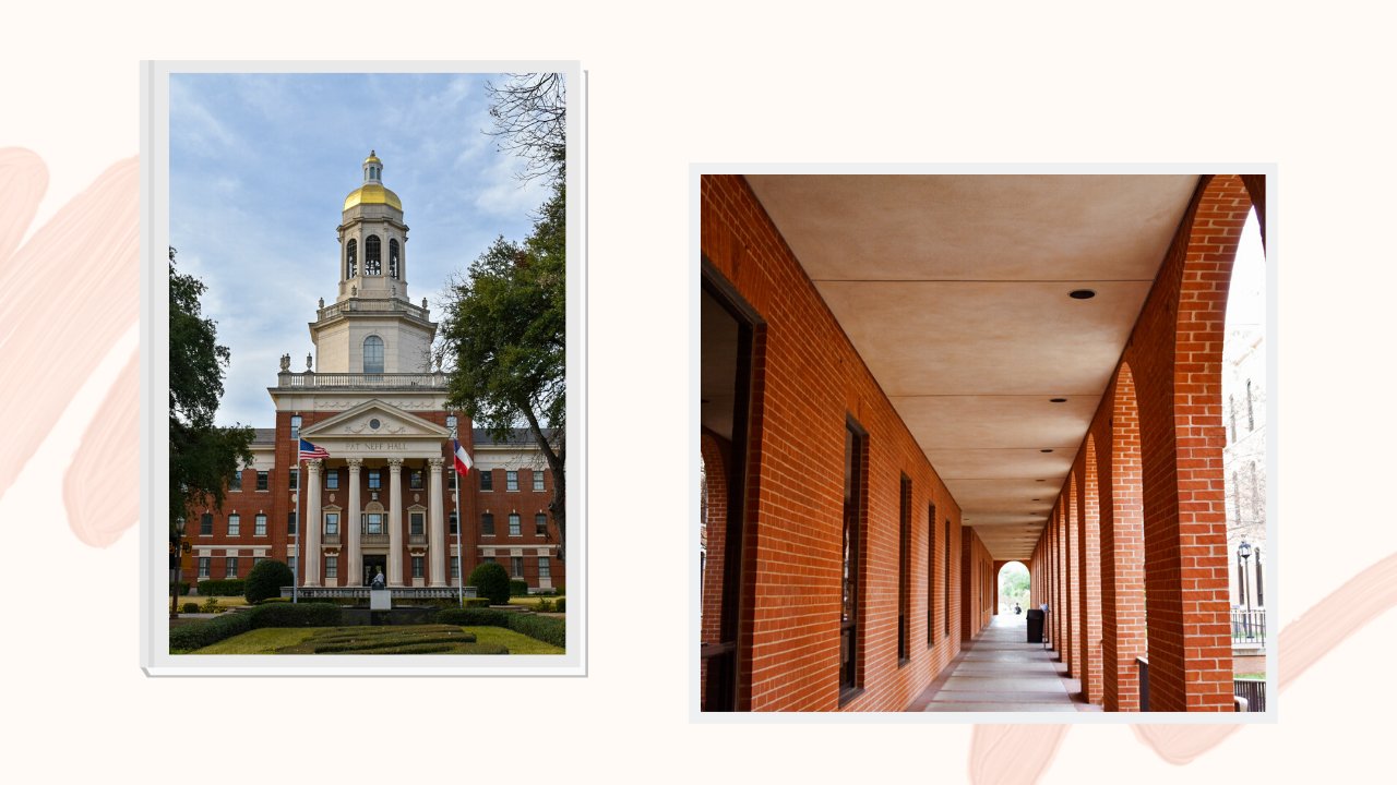 baylor editionpng by Cassandra Shin?width=698&height=466&fit=crop&auto=webp&dpr=4