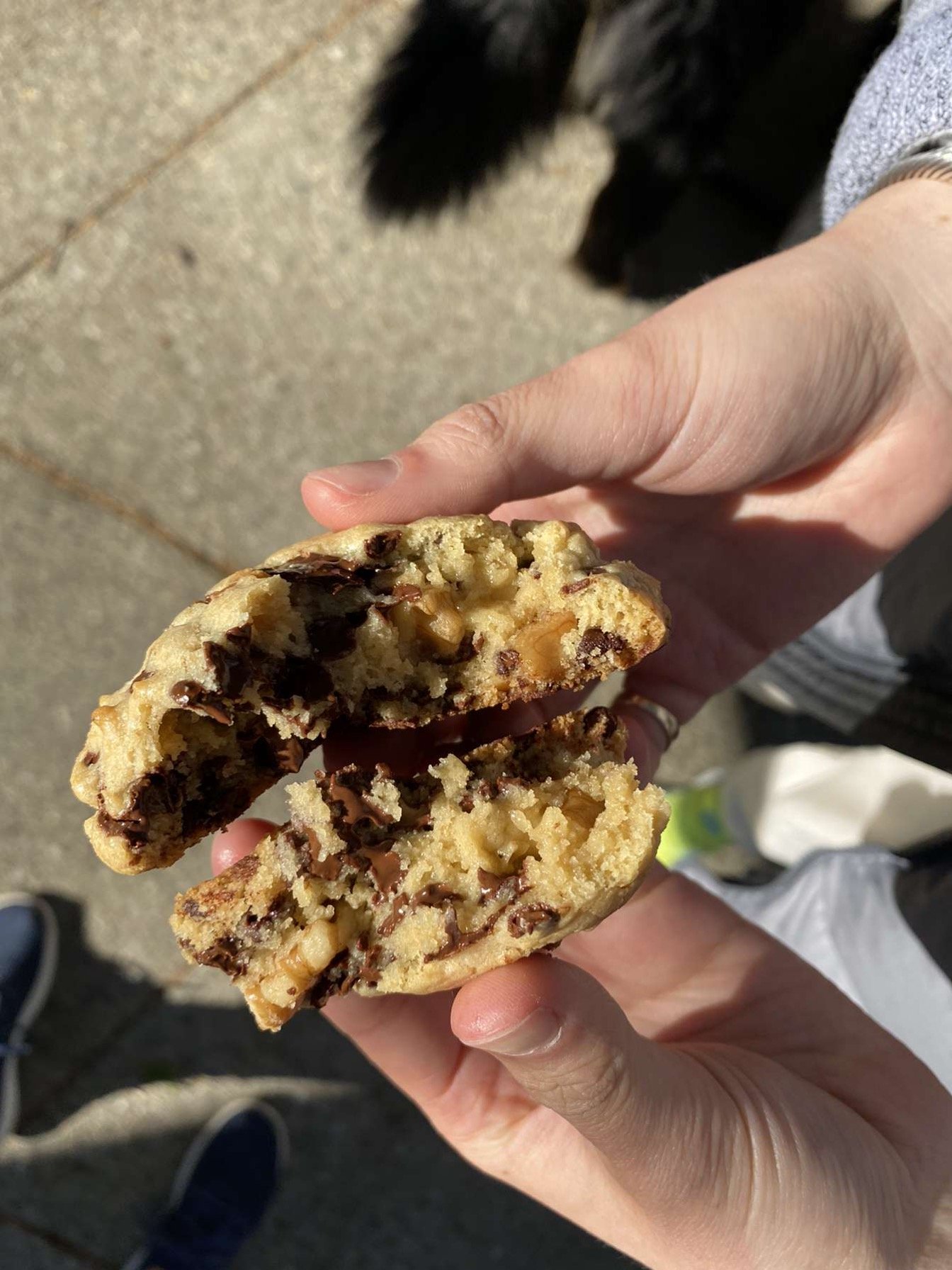 5b9740d6ec564a87af33f90a8c8c43fcjpegjpg by Margo Cannell?width=698&height=466&fit=crop&auto=webp&dpr=4