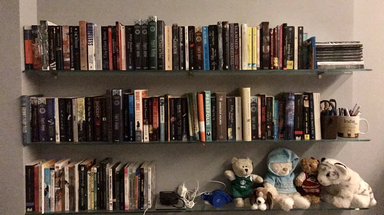 bookcase with books