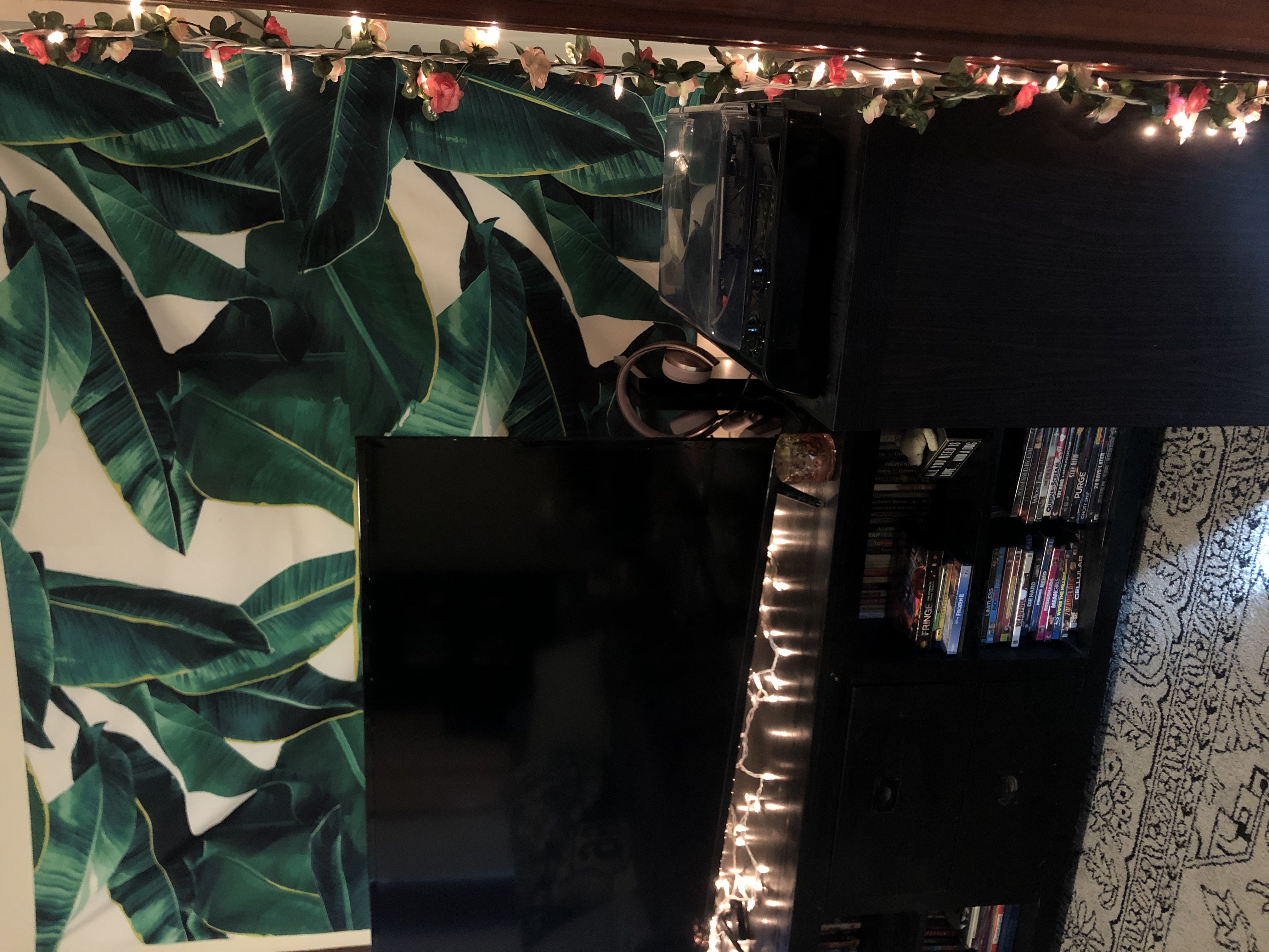 Courtesy of Hannah Liplow