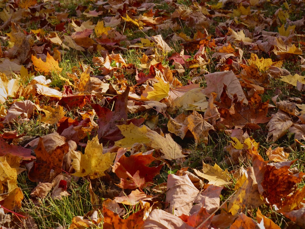 79271f9162984c2795c78818f70b2ed4 1 105 cjpegjpg by Brynn Kelly?width=698&height=466&fit=crop&auto=webp&dpr=4