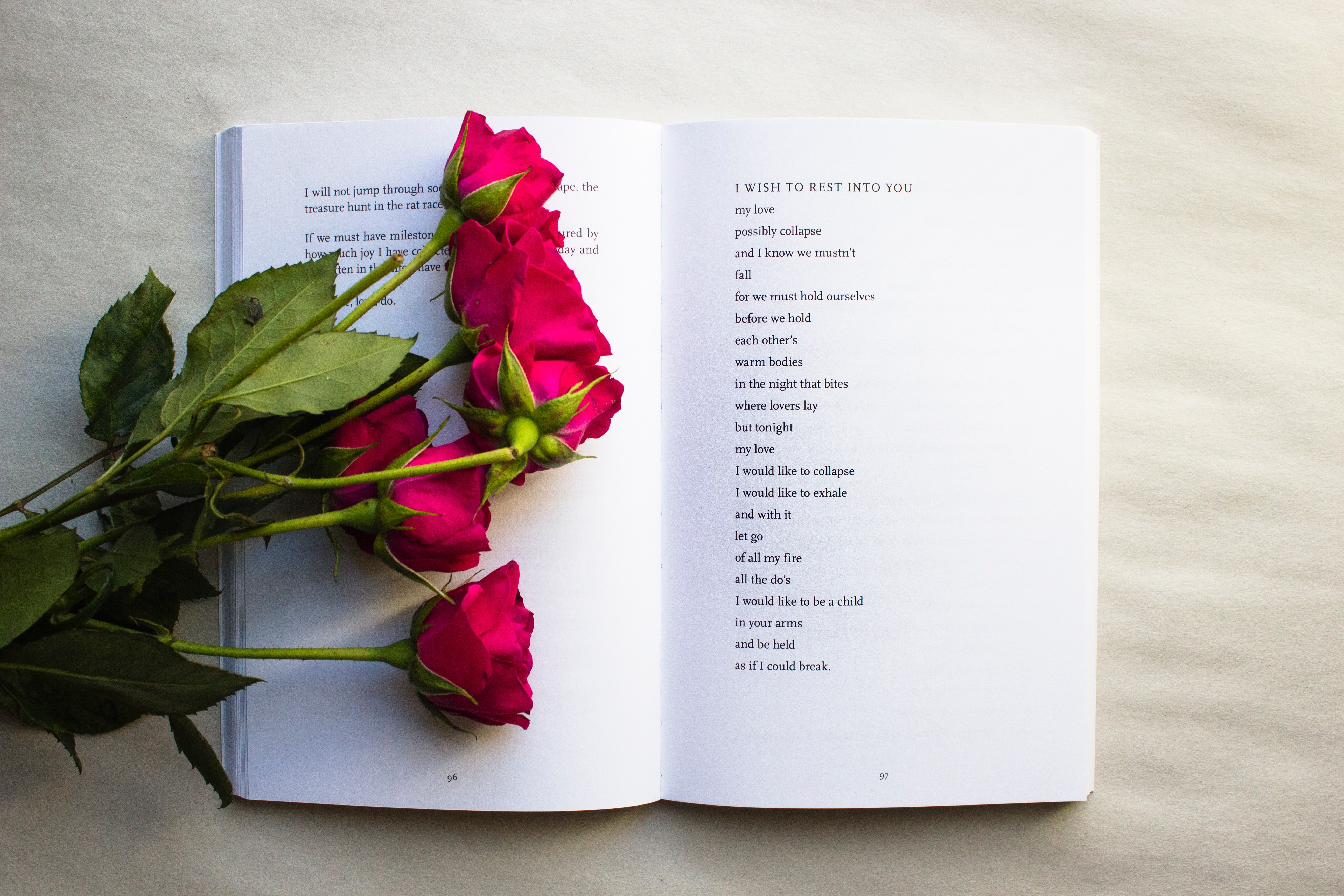 red roses on a book of poetry