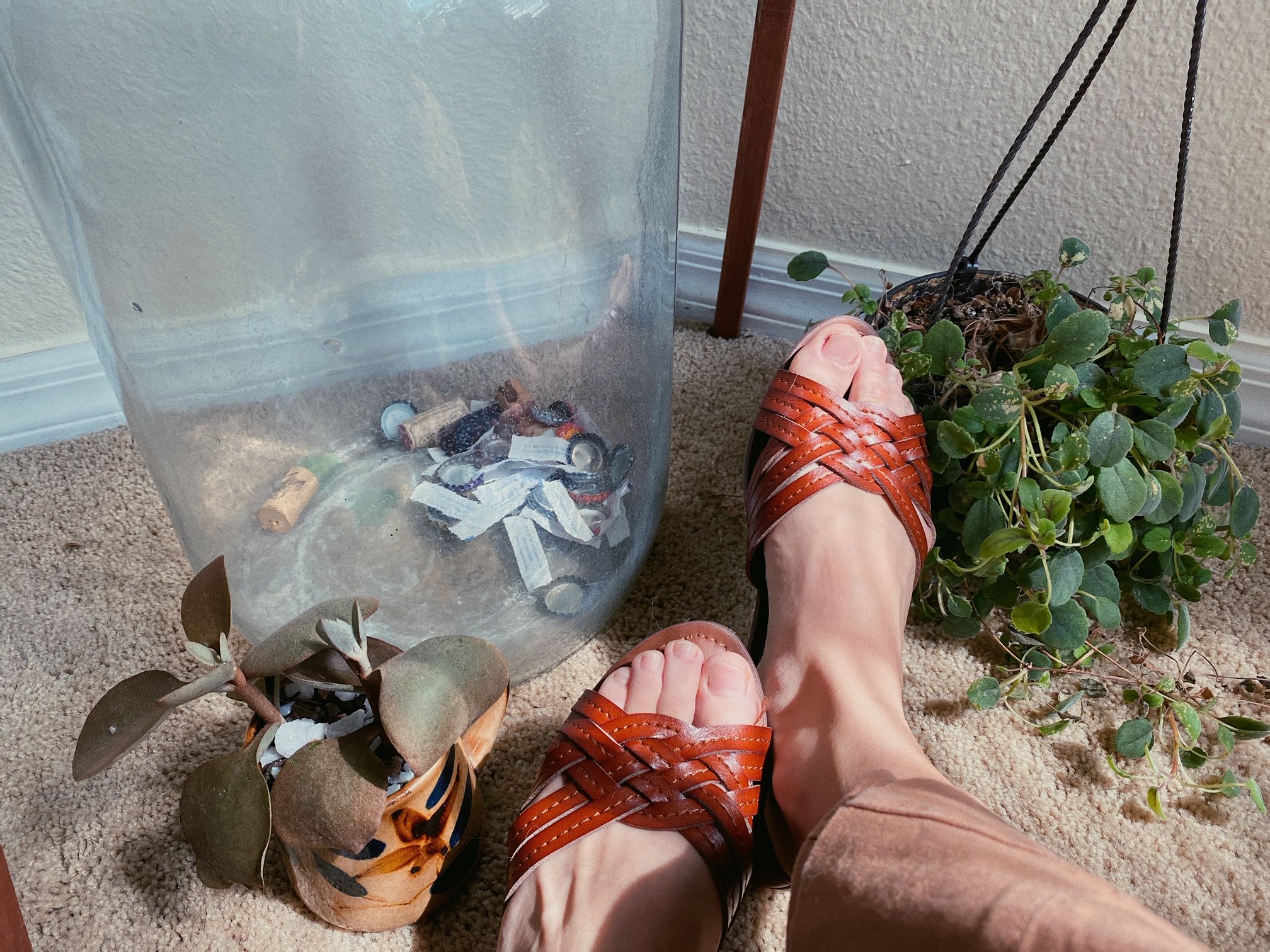 shoes with plants