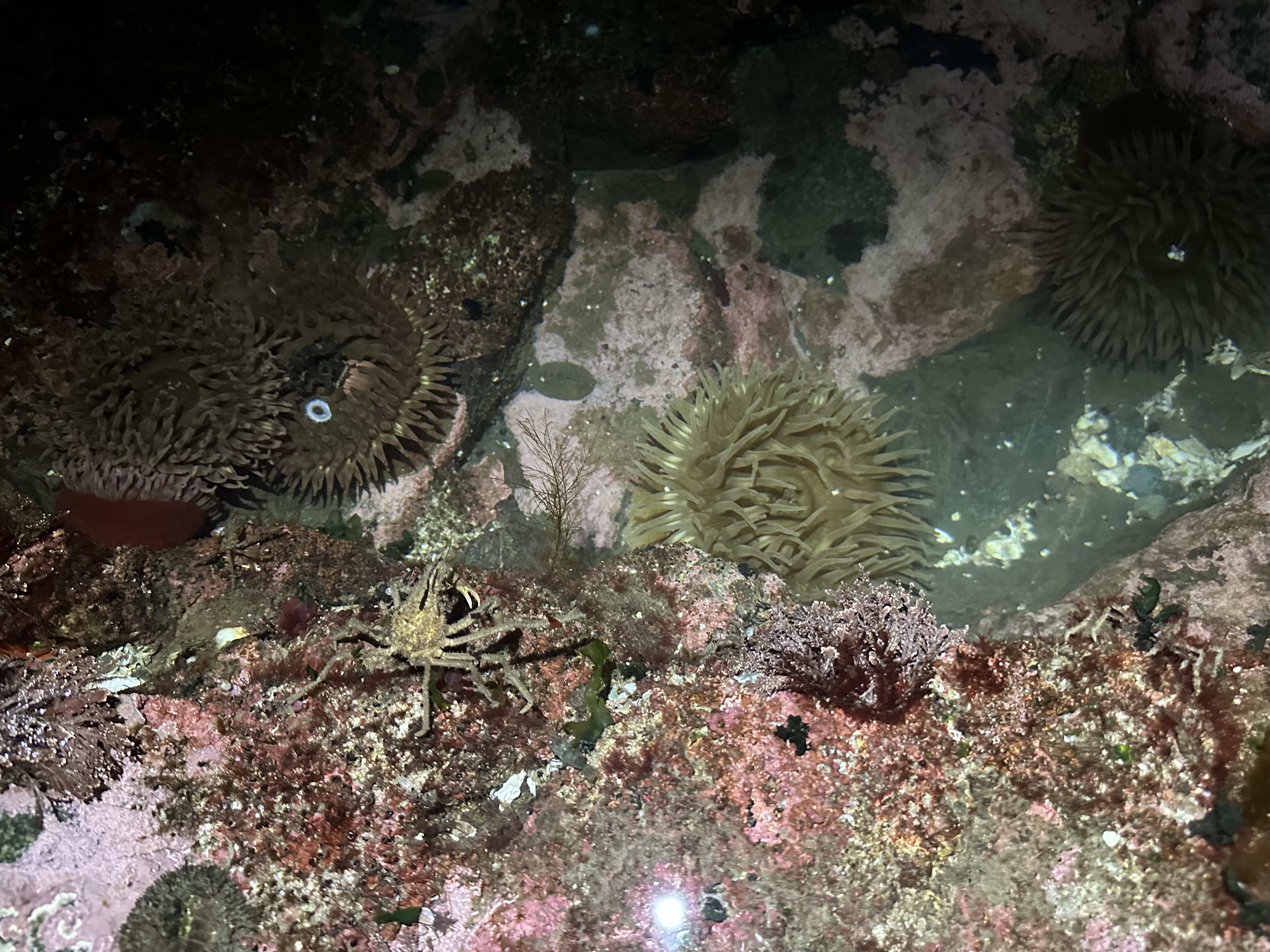 img 2136jpegjpg by Jess Bayda?width=1280&height=854&fit=crop&auto=webp&dpr=4