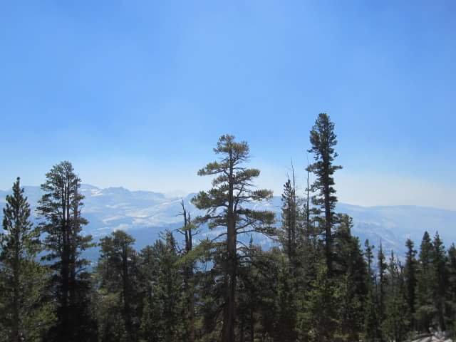 yosemite national park, green, trees
