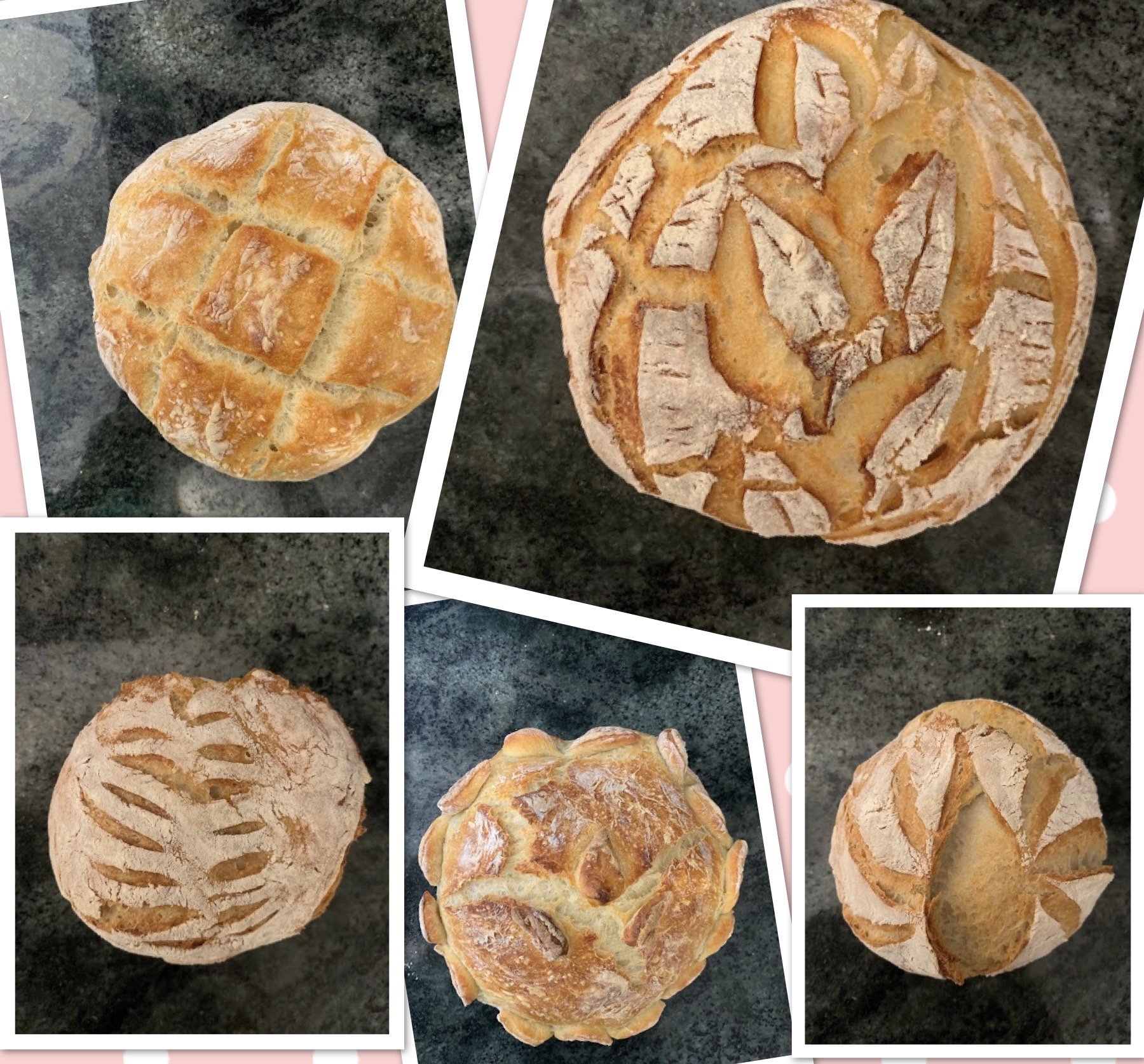 img 4924jpg by Celia Heath?width=698&height=466&fit=crop&auto=webp&dpr=4