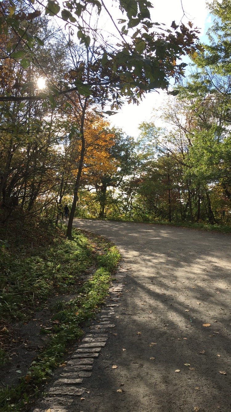 montreal hiking trail