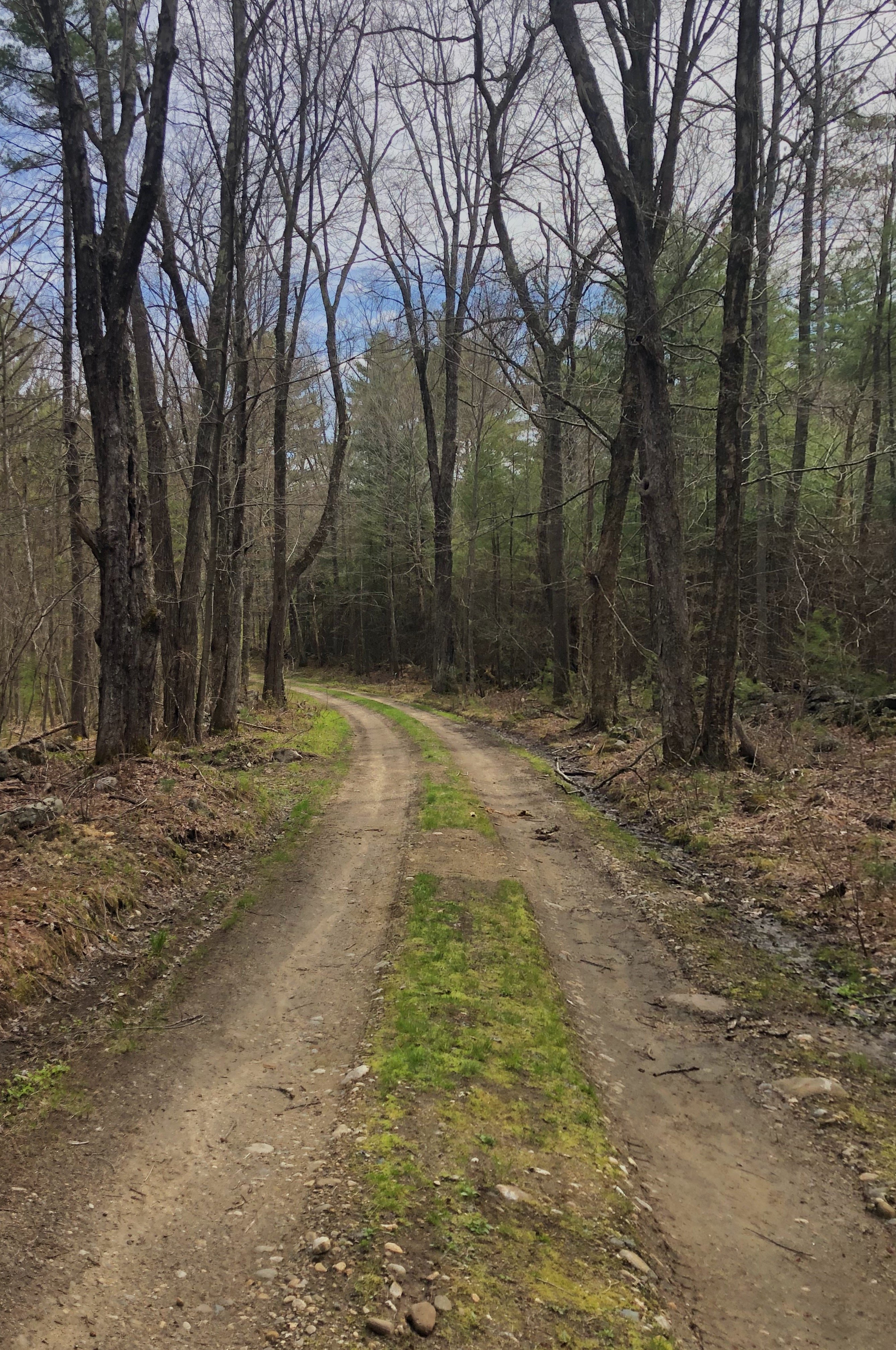 Quabbin Reservoir path