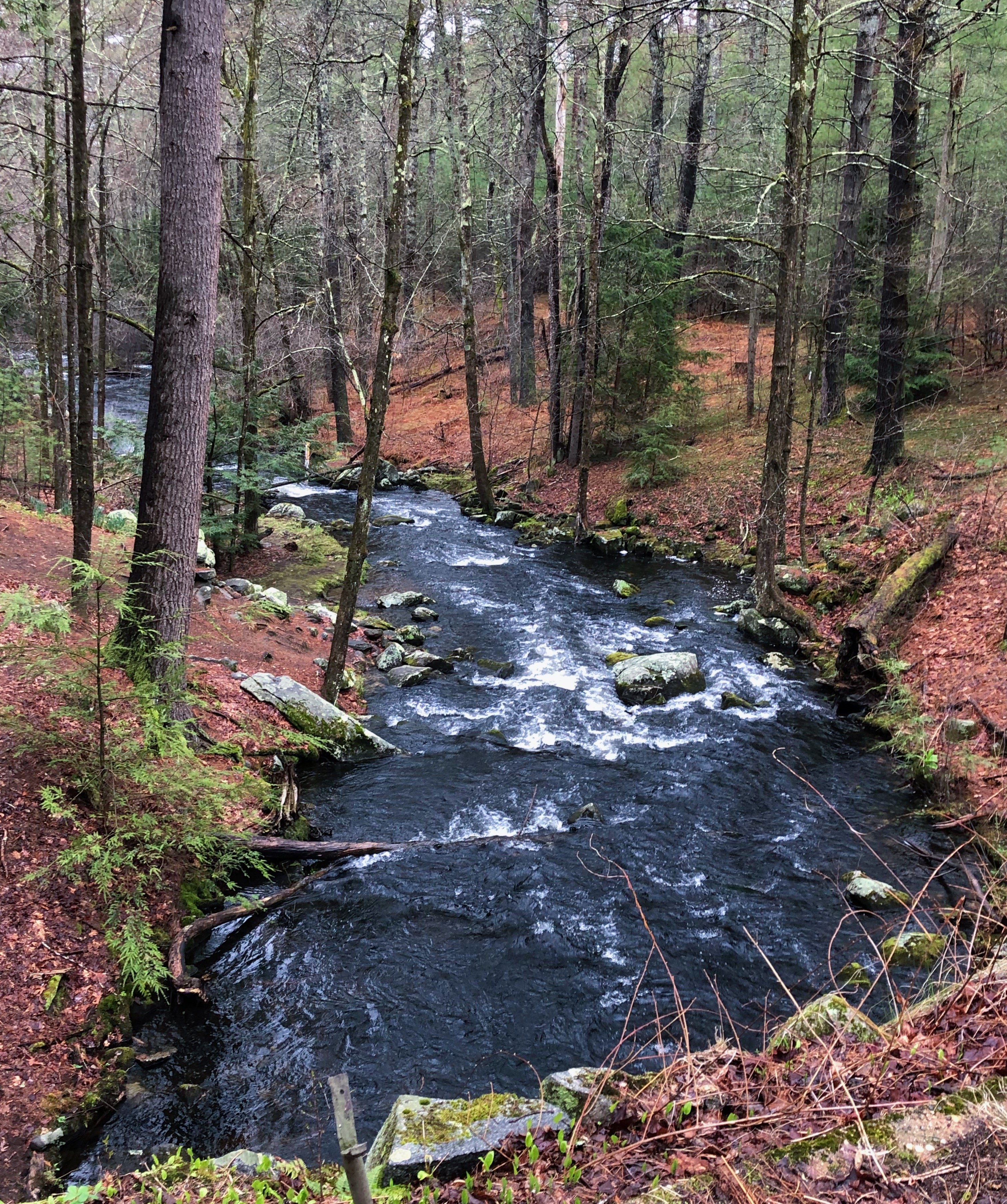 ddcb598919bd434391838b3343bde9dd 2jpg by Sophia Apteker?width=698&height=466&fit=crop&auto=webp&dpr=4