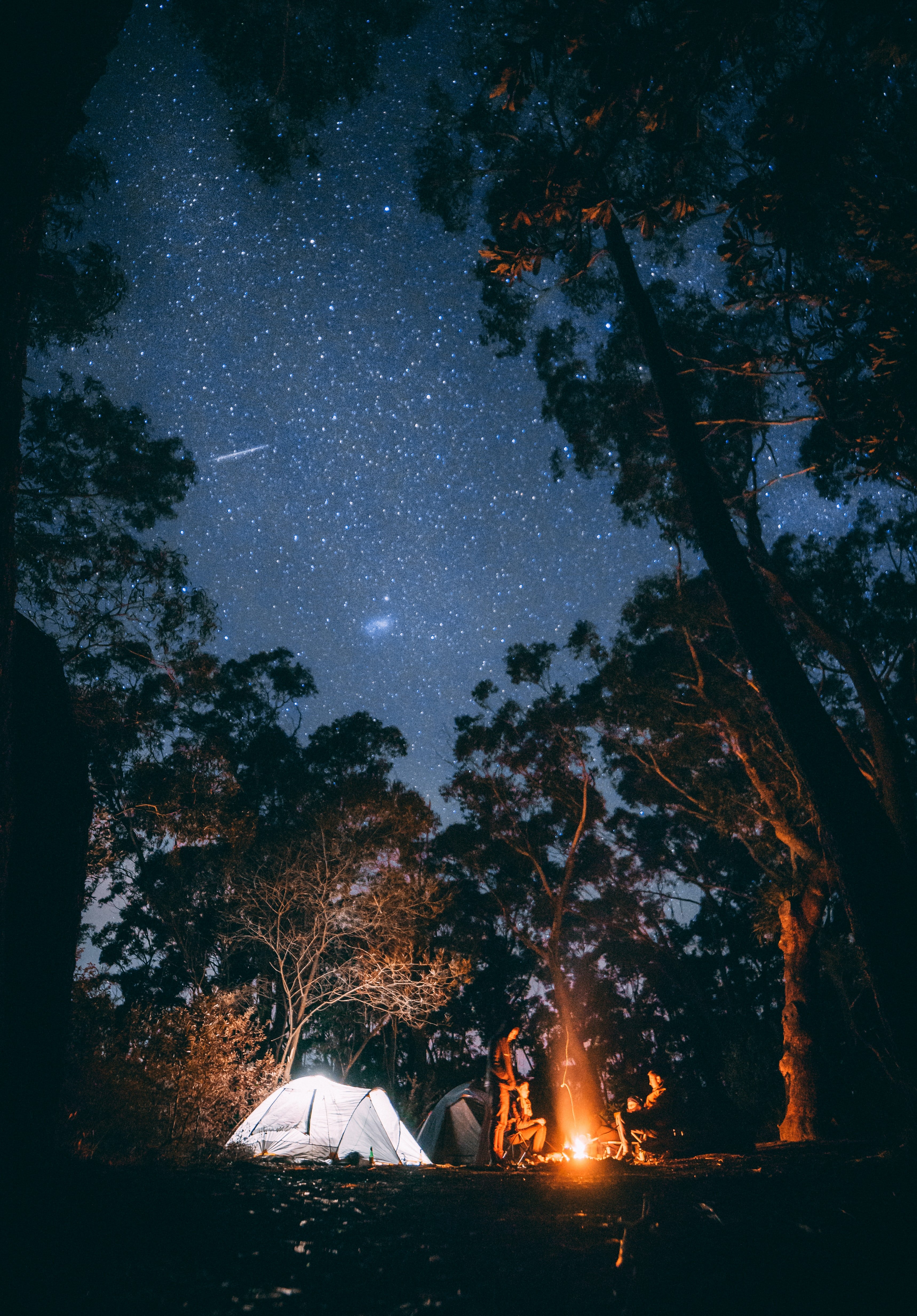 nighttime camping by Unsplash?width=698&height=466&fit=crop&auto=webp&dpr=4
