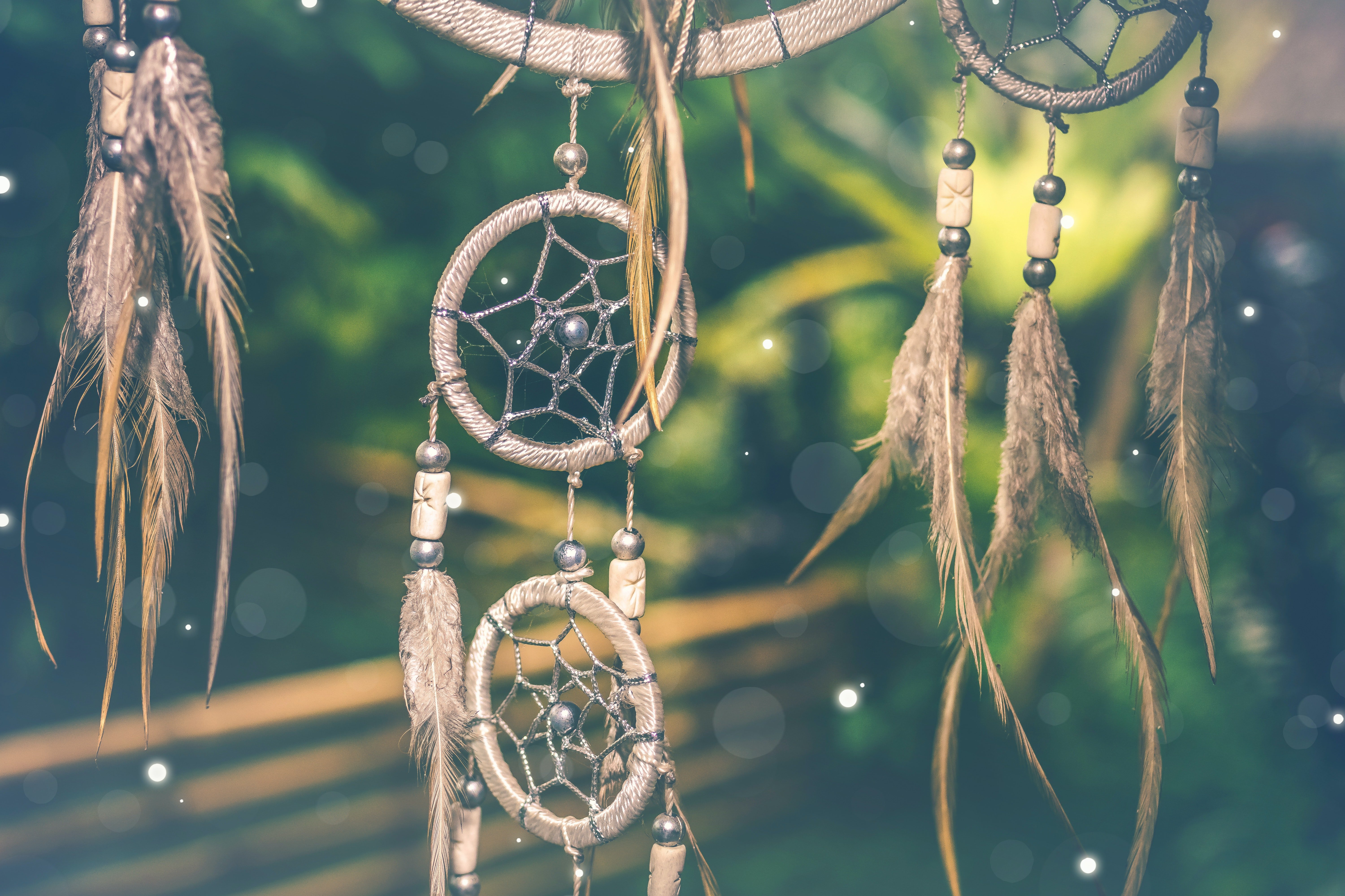 dream catchers with greenery by Artem Beliakin