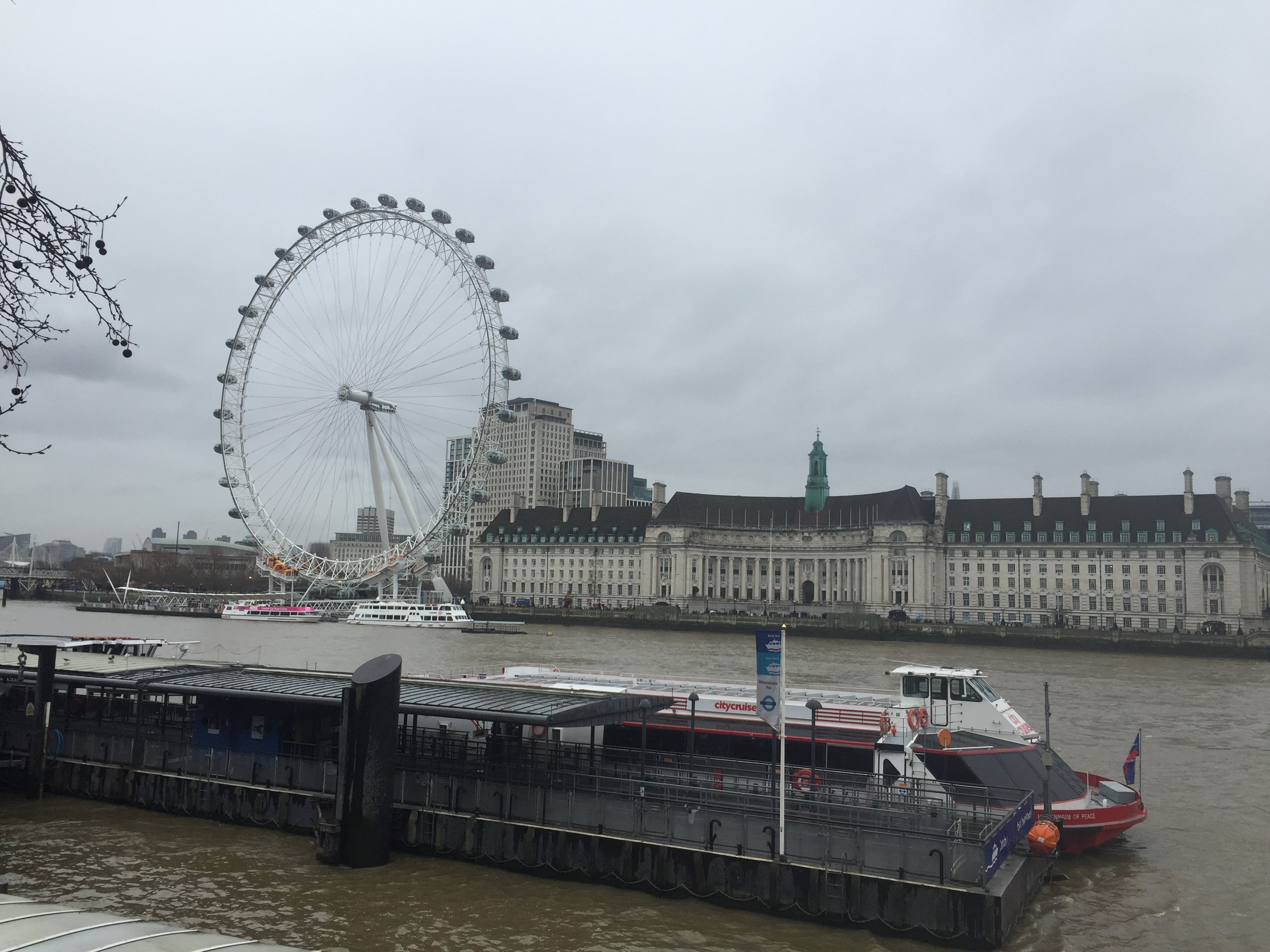 The London Eye from across the river Thames