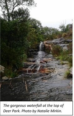 A waterfall at a local hiking trail
