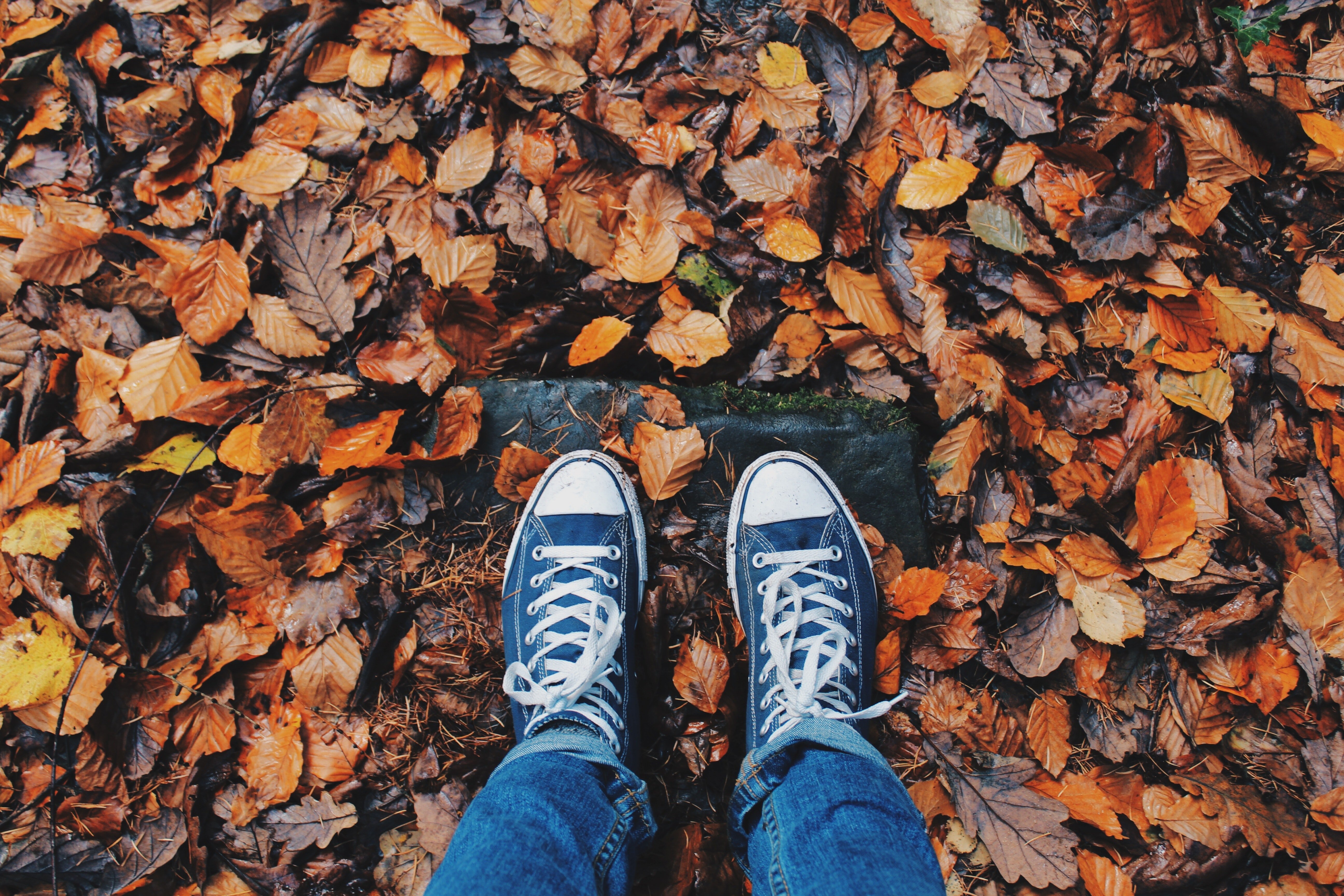 Person in Blue Jeans and Pair of Blue Sneakers