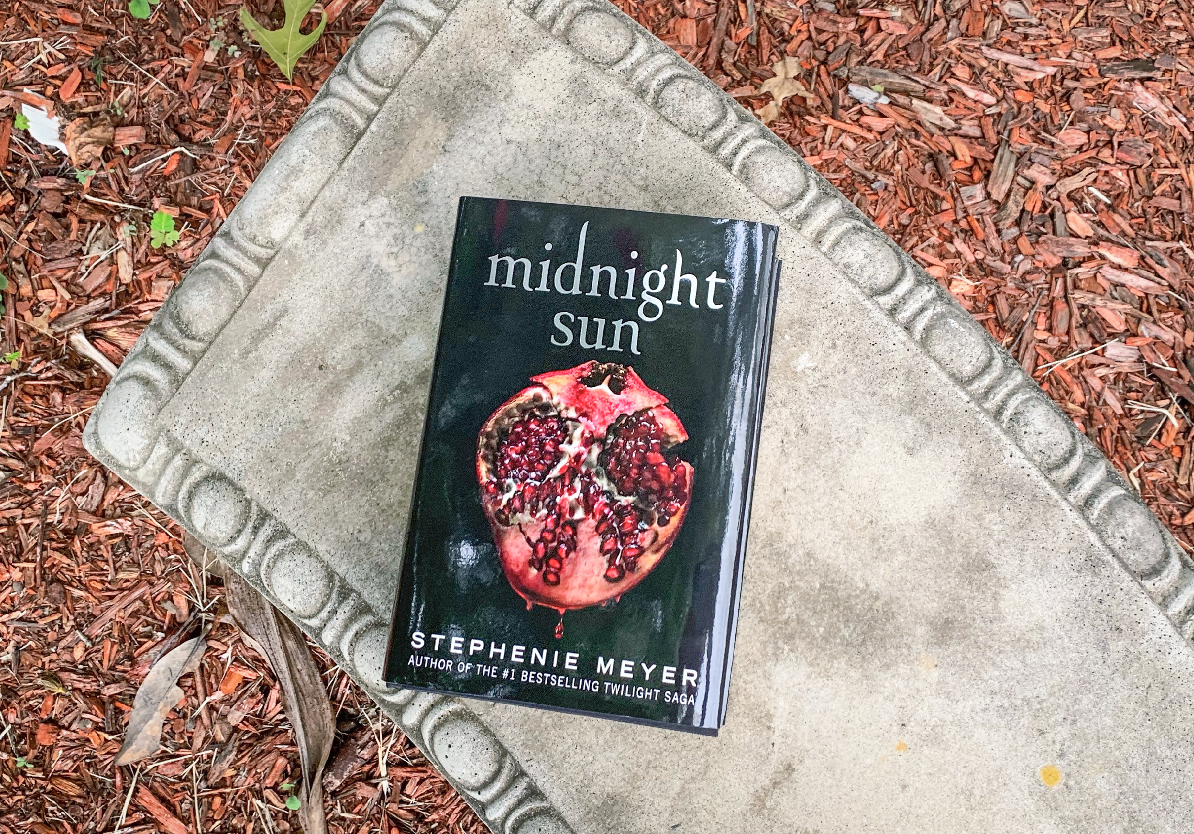 Midnight Sun by Stephenie meyer by Lindsey Valenti?width=698&height=466&fit=crop&auto=webp&dpr=4