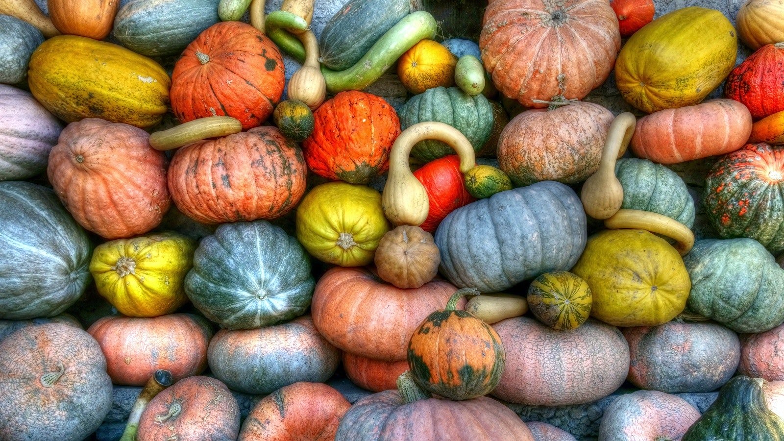 Green Orange and Yellow Pumpkins