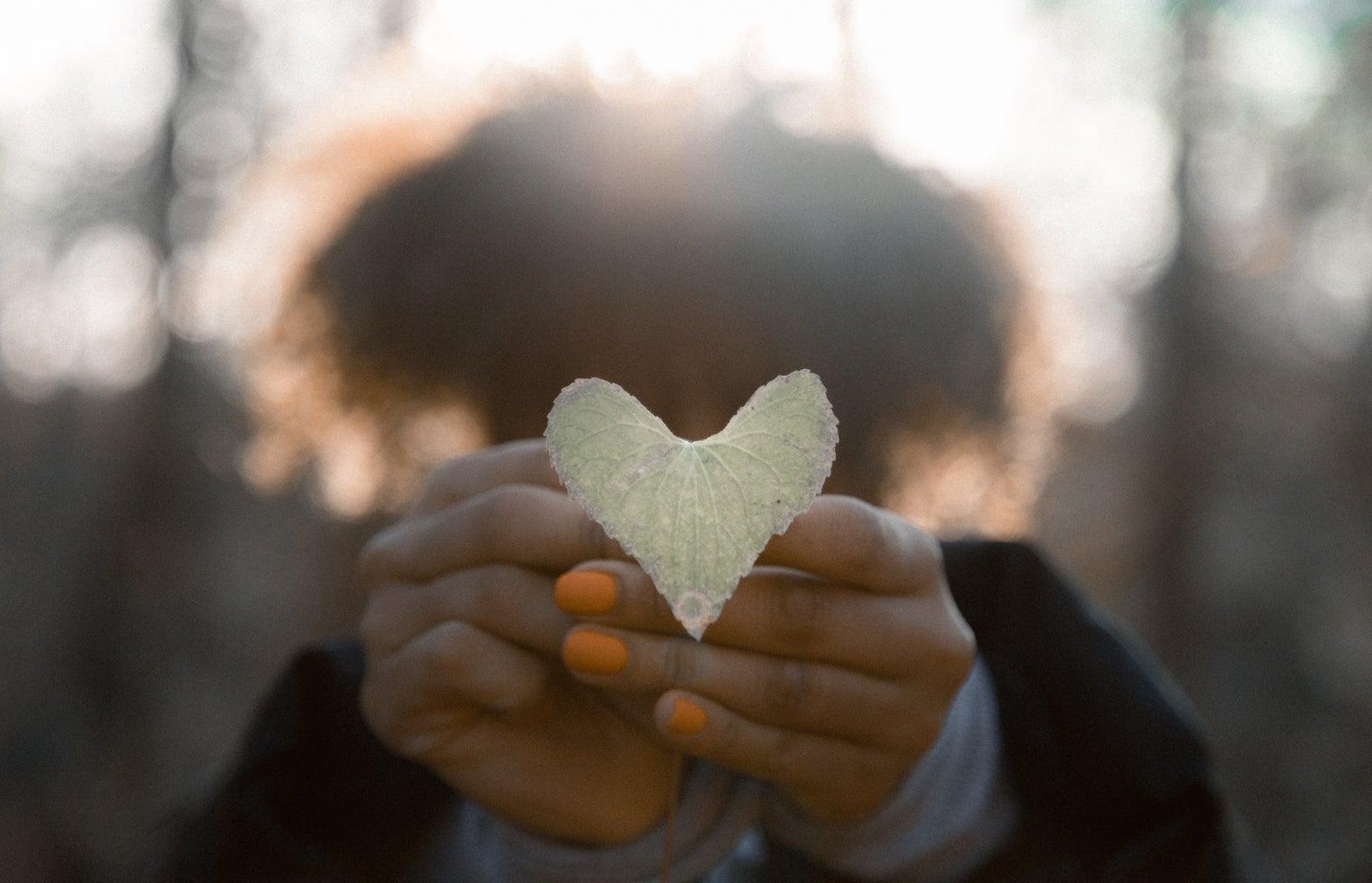 jakob owens SaO8RBYC0bs unsplash?width=398\&height=256\&fit=crop\&auto=webp\&dpr=4