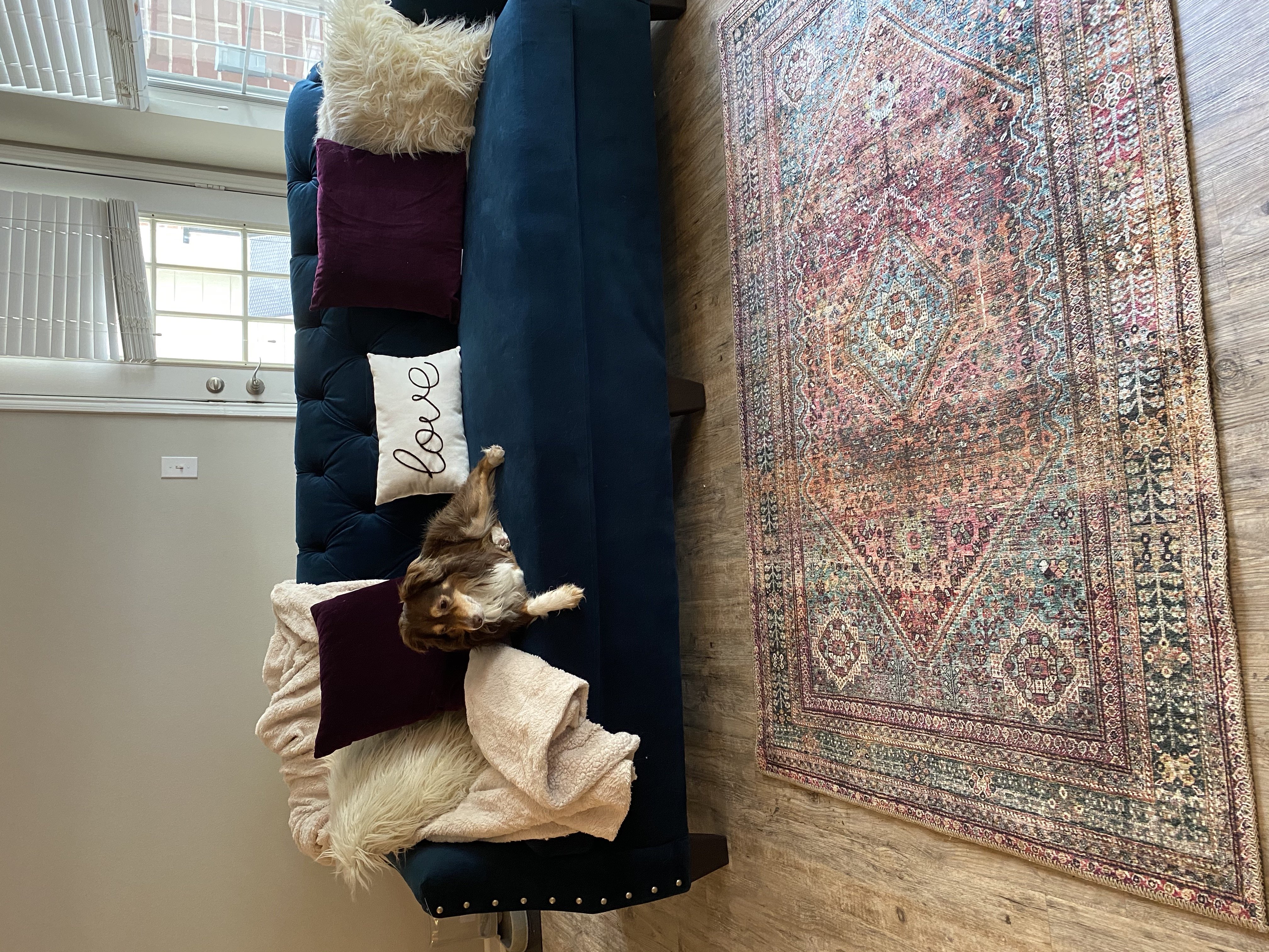 living room by Shelby Grys?width=698&height=466&fit=crop&auto=webp&dpr=4