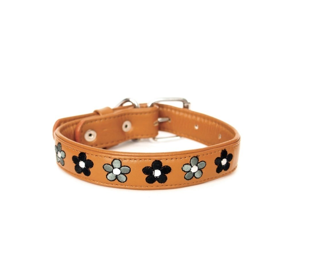 Screen Shot 2020 08 26 at 121221 AM?width=698&height=466&fit=crop&auto=webp&dpr=4