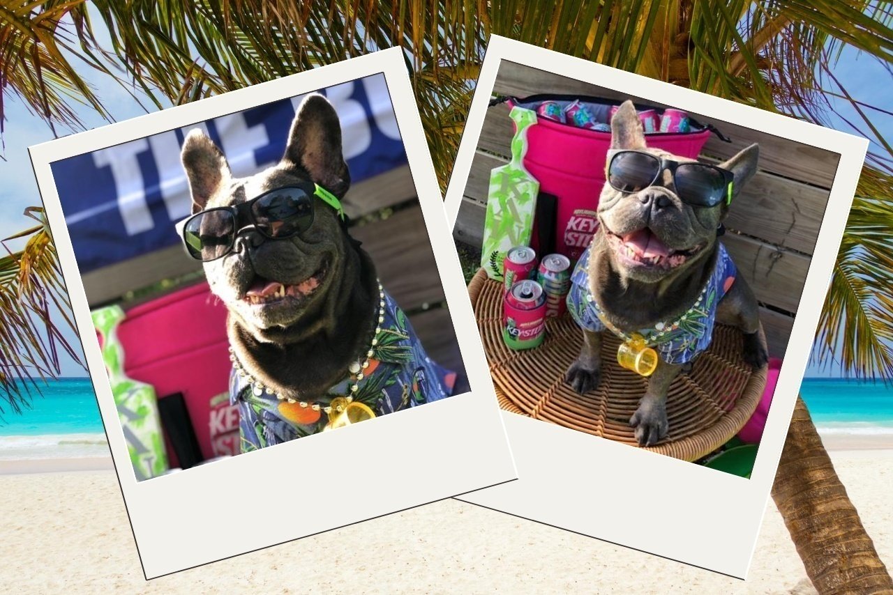 Style Hero Images Hero