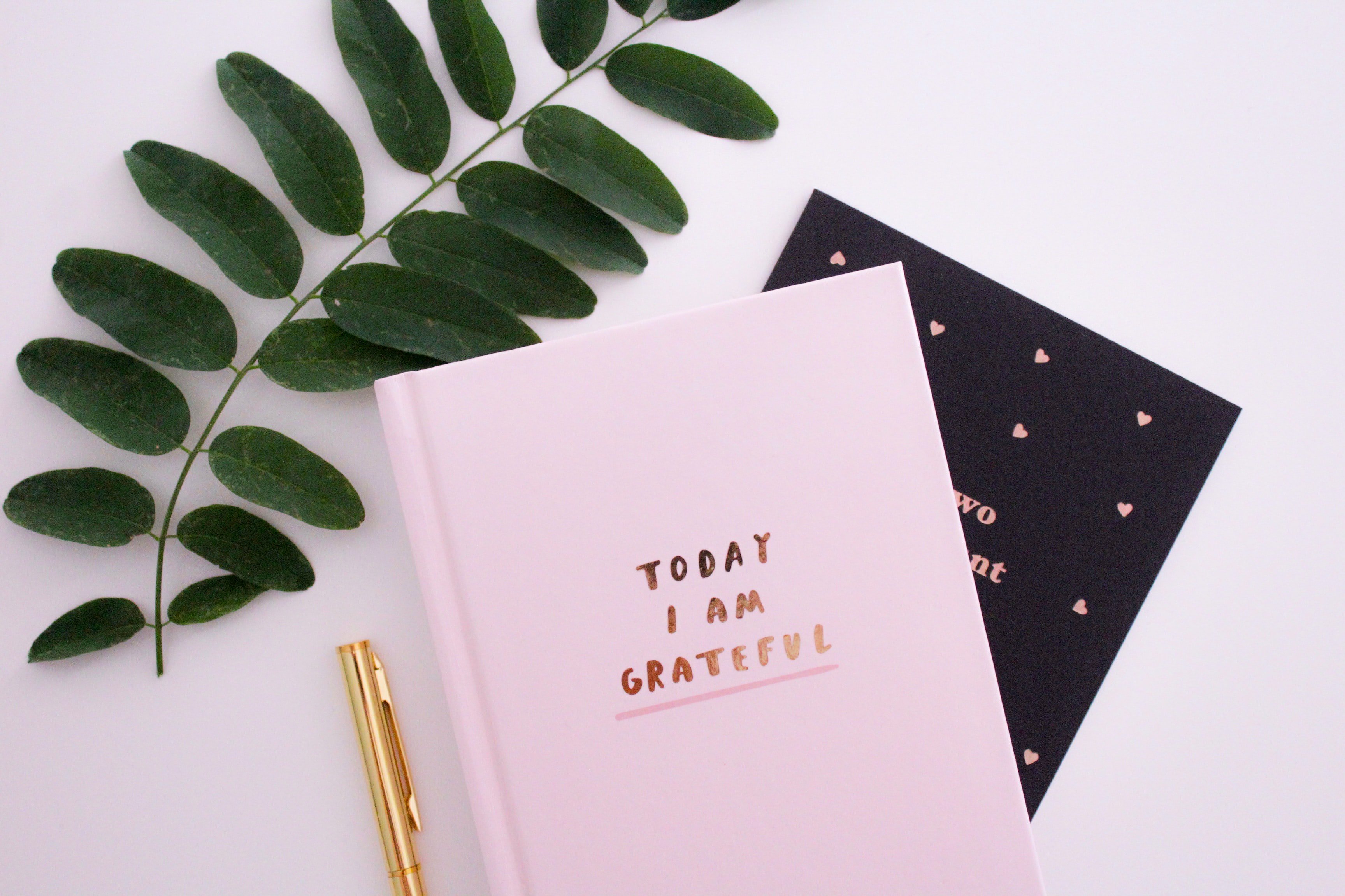today im grateful pink book photo by Gabrielle Henderson