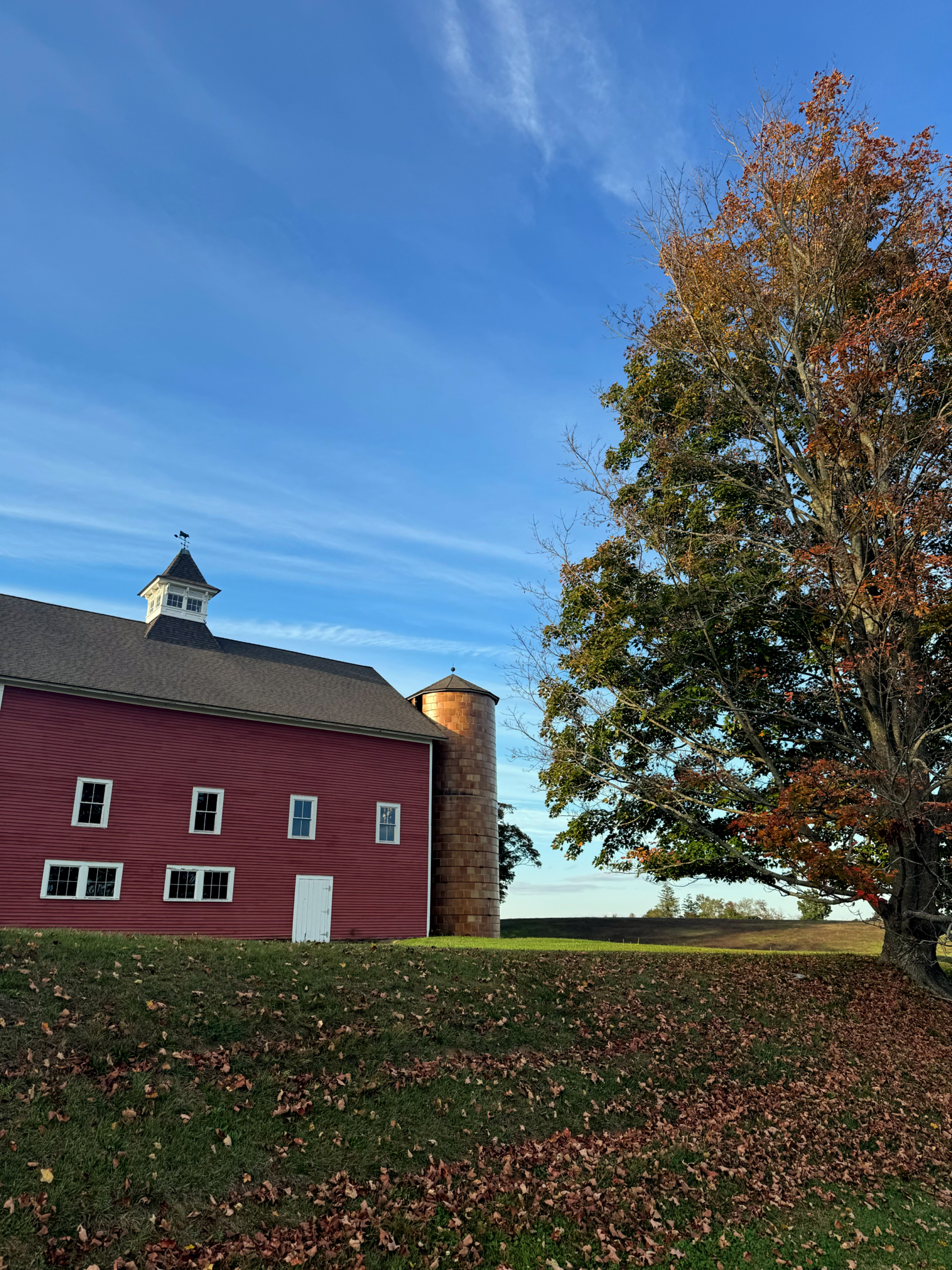 A barn during fall