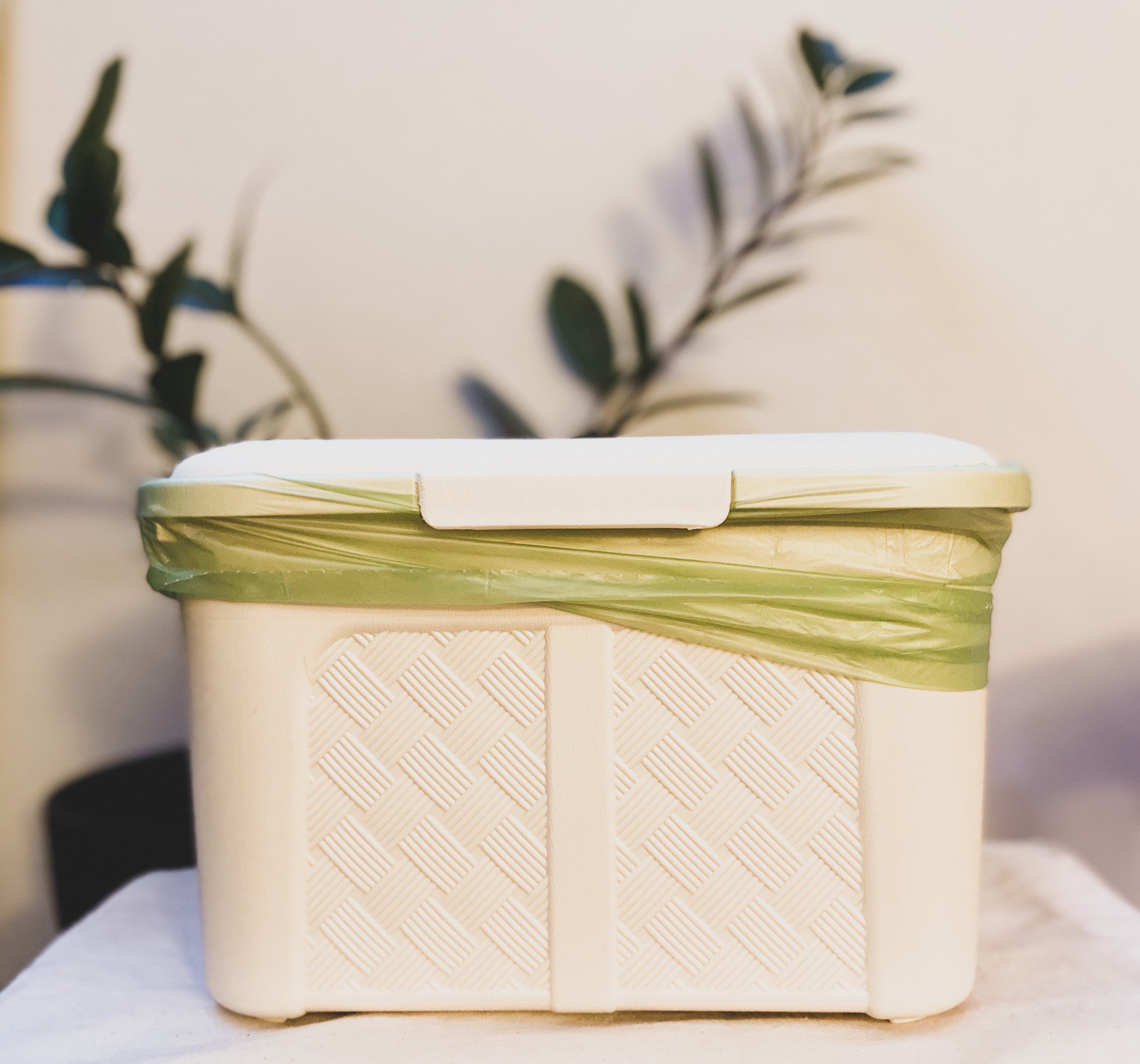 compost basket with green bag