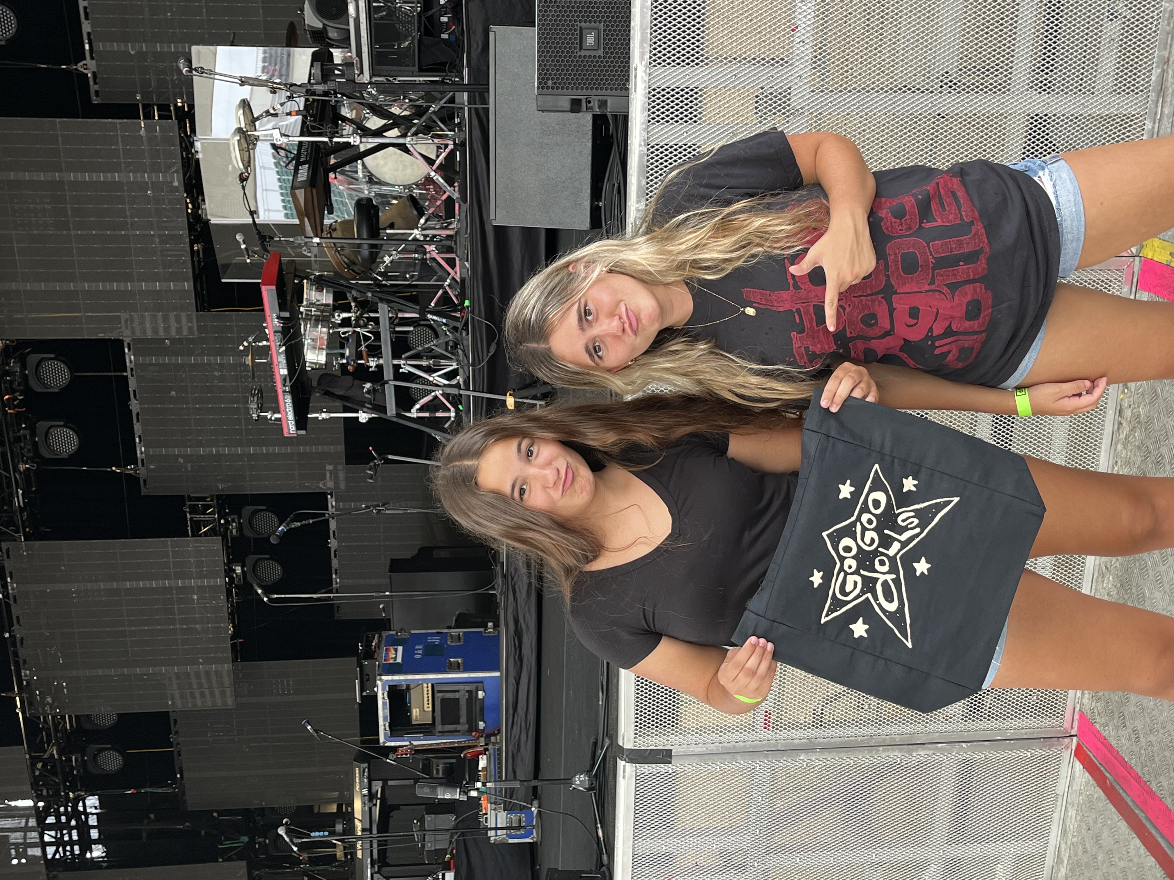 My sister and I at a The Goo Goo Dolls concert