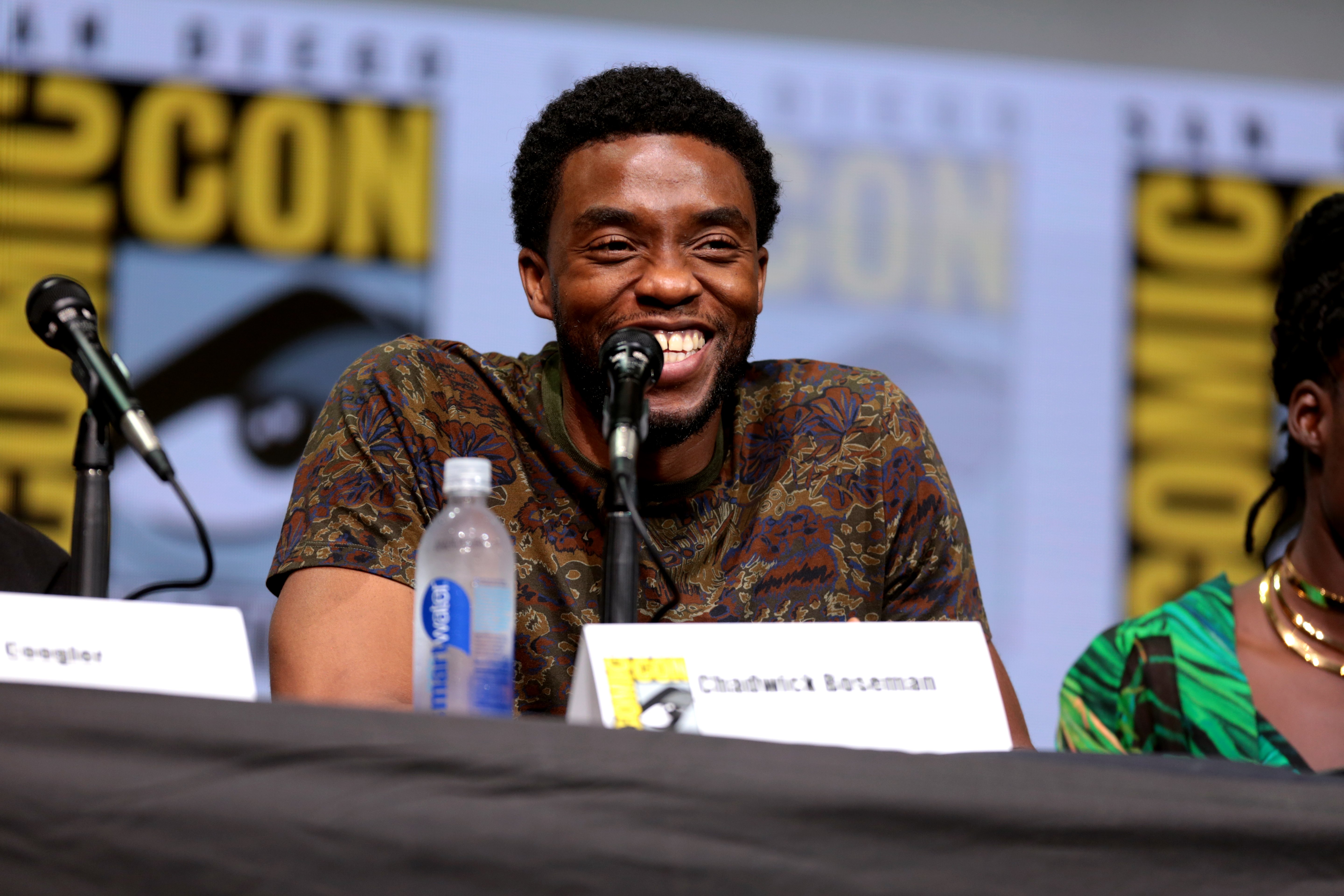 Chadwick Boseman flickr Gage Skidmore?width=698&height=466&fit=crop&auto=webp&dpr=4