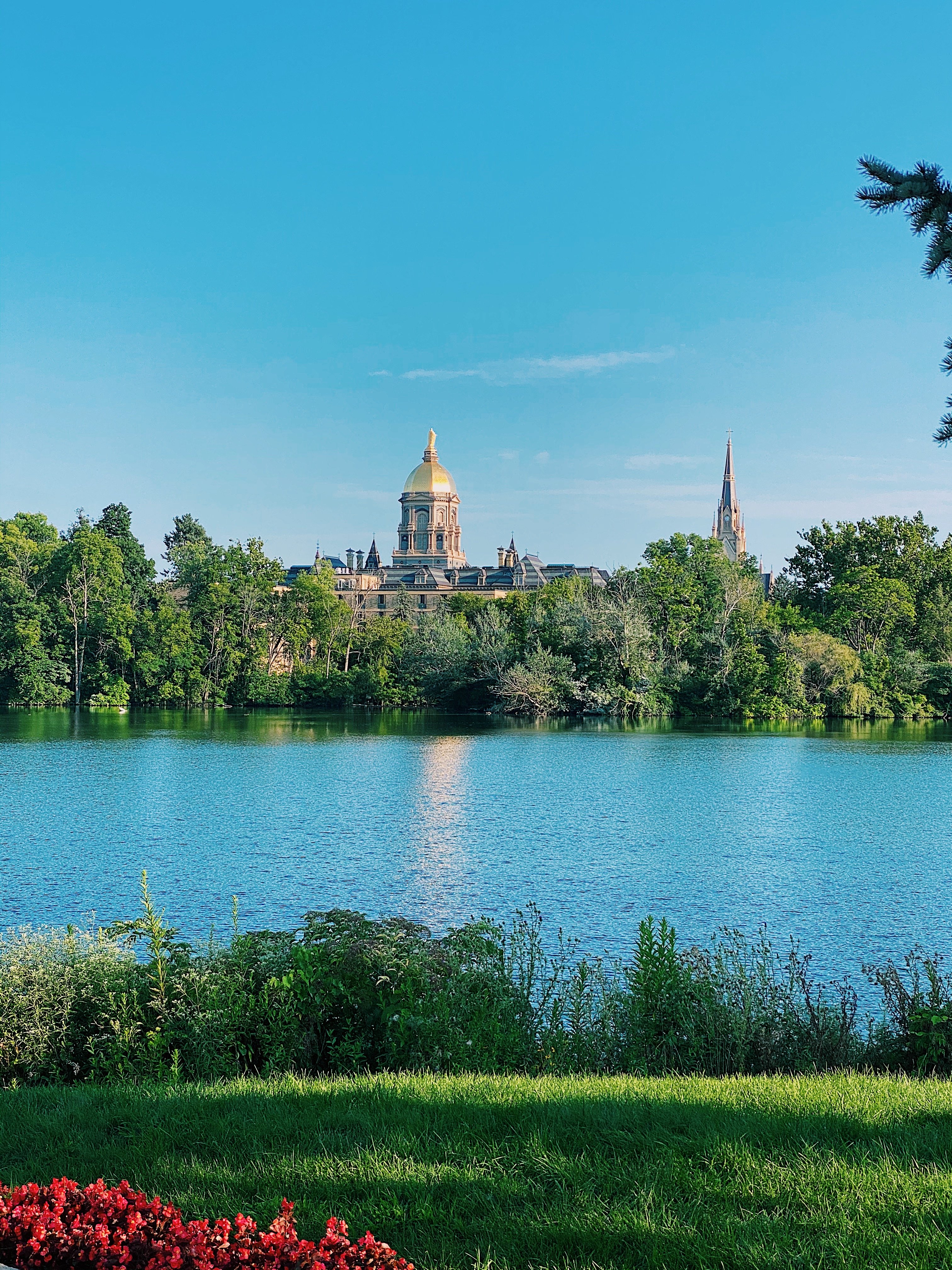 notre dame golden dome by Grace Haak?width=698&height=466&fit=crop&auto=webp&dpr=4