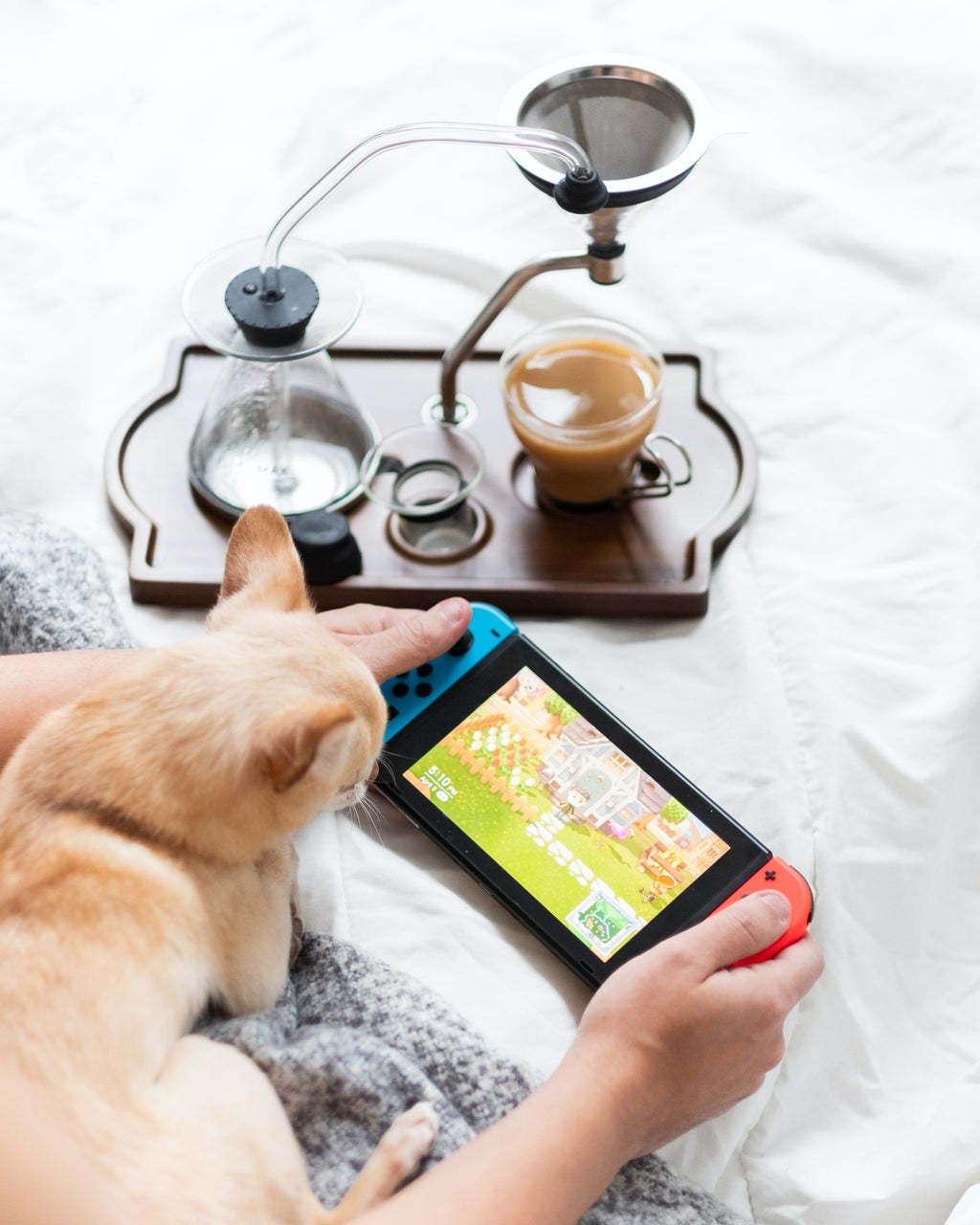 nintendo switch console with cat nearby