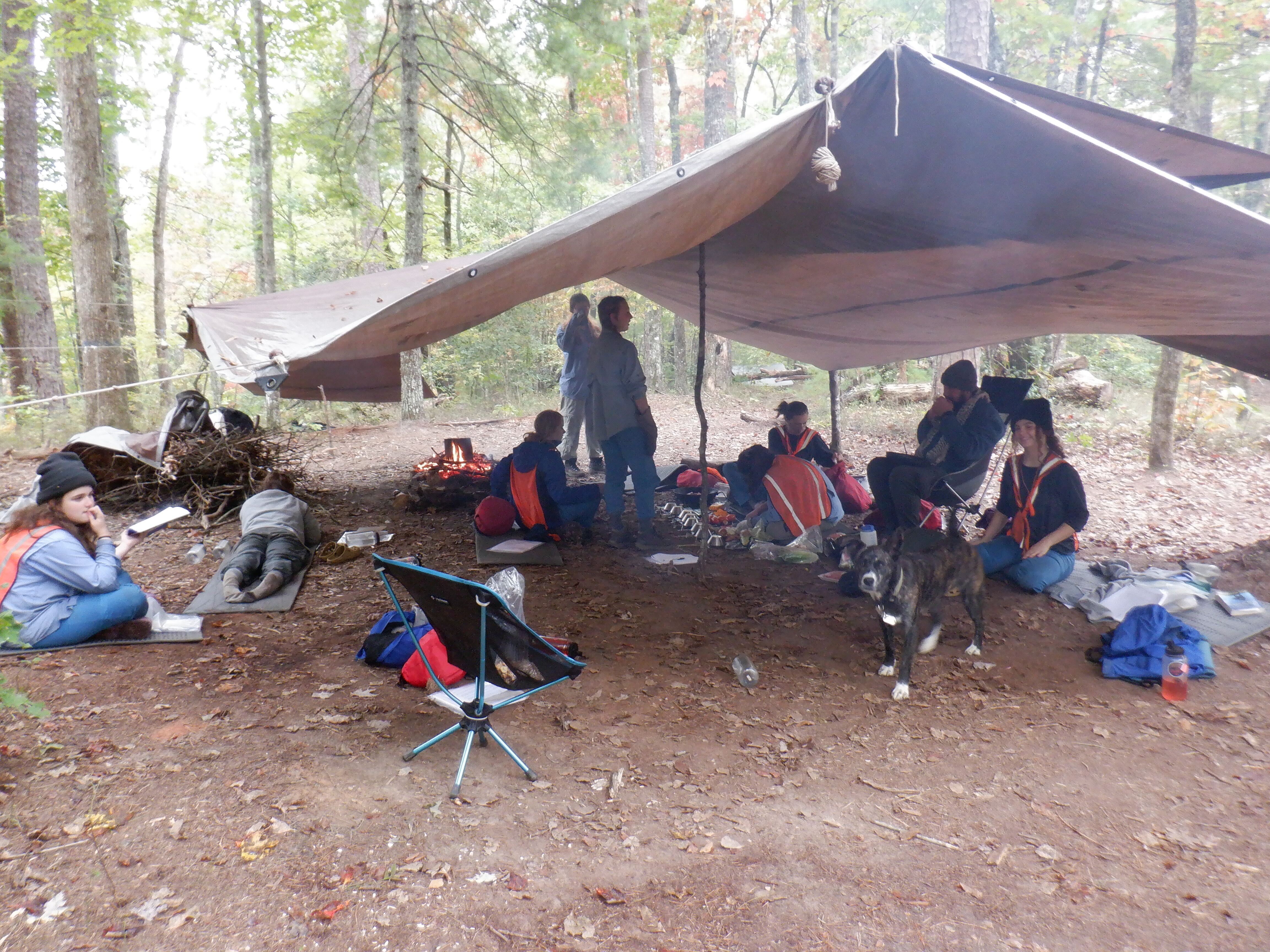 IMG 2976?width=1024&height=1024&fit=cover&auto=webp&dpr=4