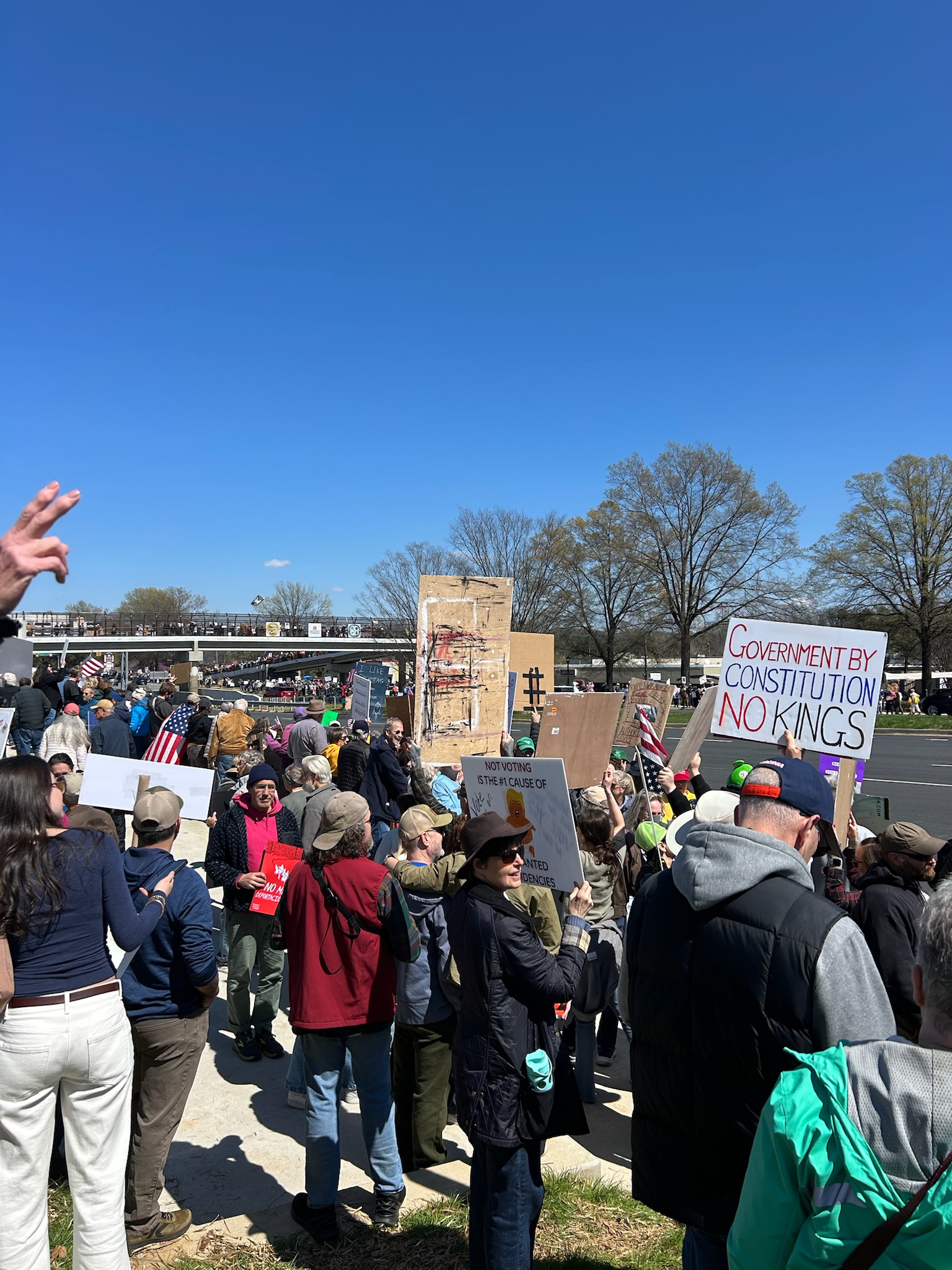 No Kings Protest in Charlottesville