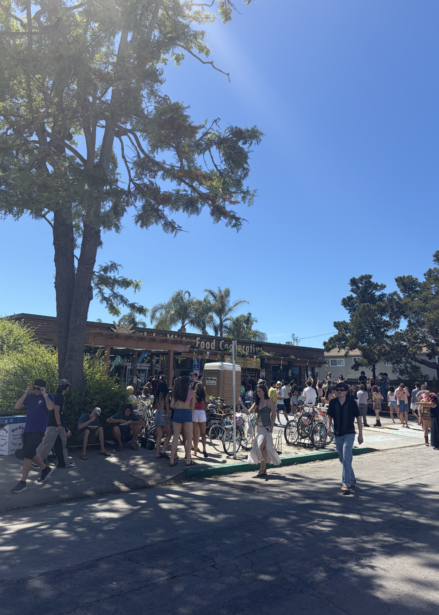 Soltopia UCSB