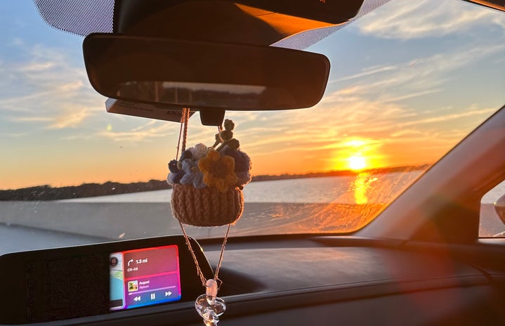 photo of sunset from car on bridge overlooking lake with crochet hanging plant on mirror