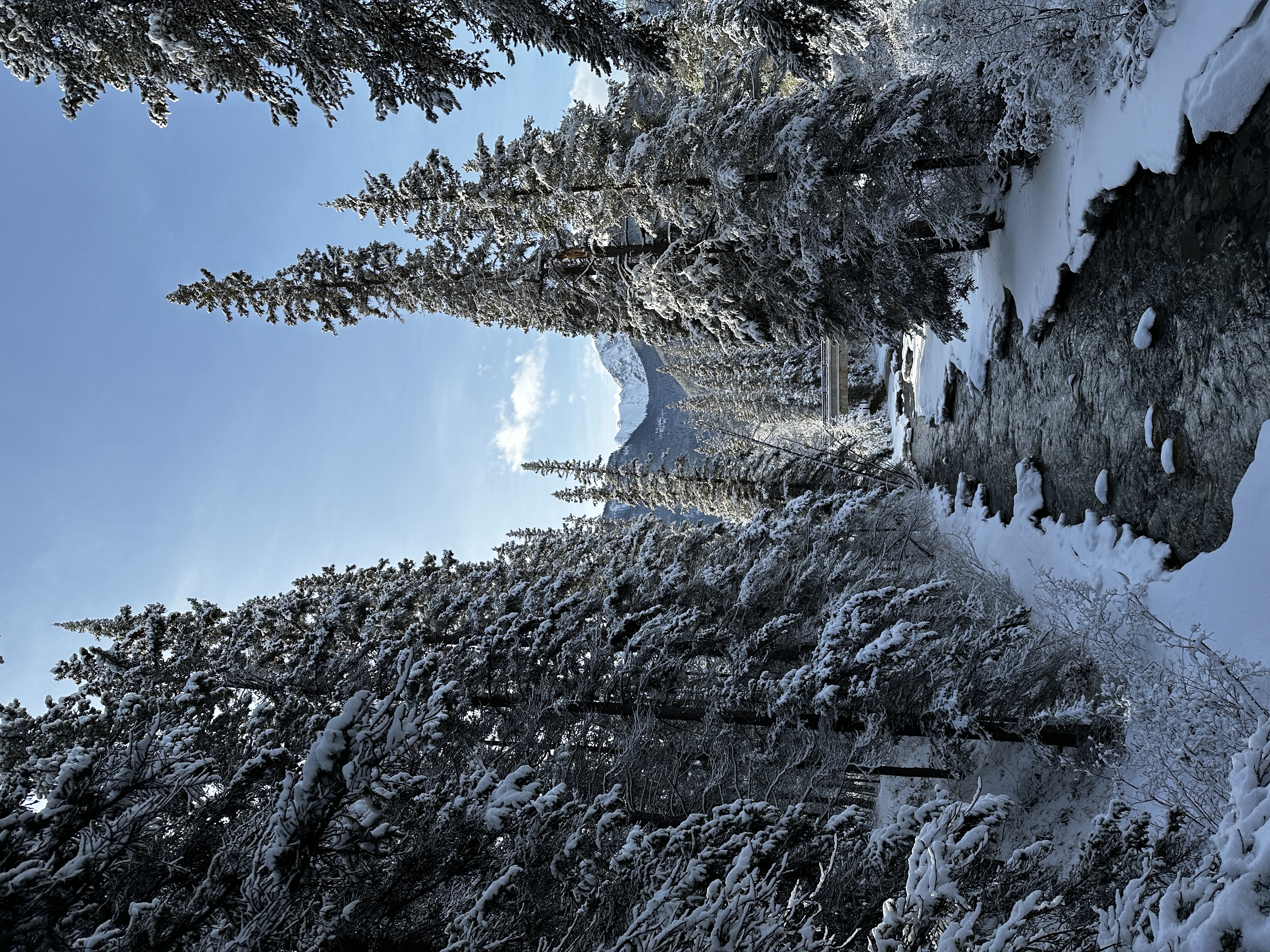 img 7817jpg by Original photo by An Nisaa Renanda Prananto?width=698&height=466&fit=crop&auto=webp&dpr=4