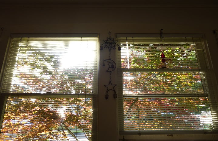 Window with morning light