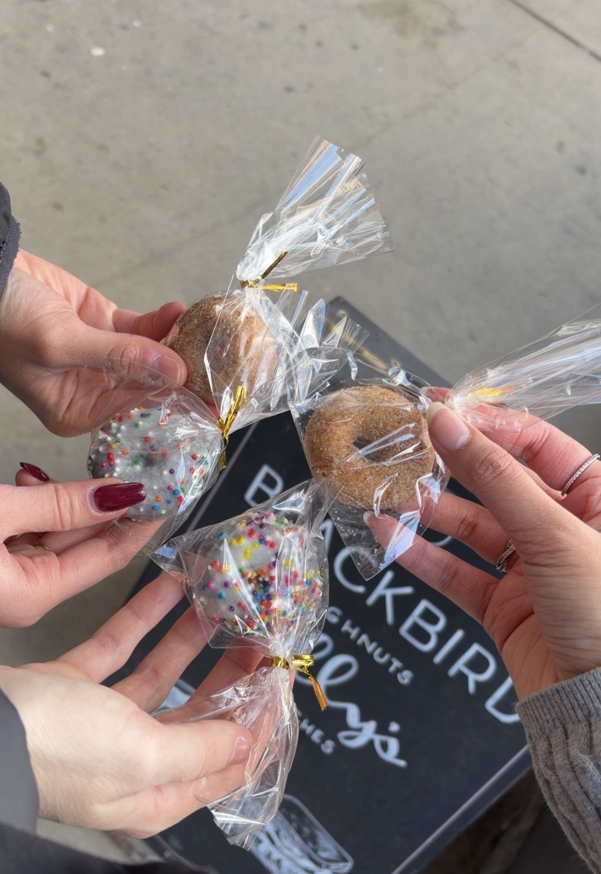 Blackbird Mini Donuts