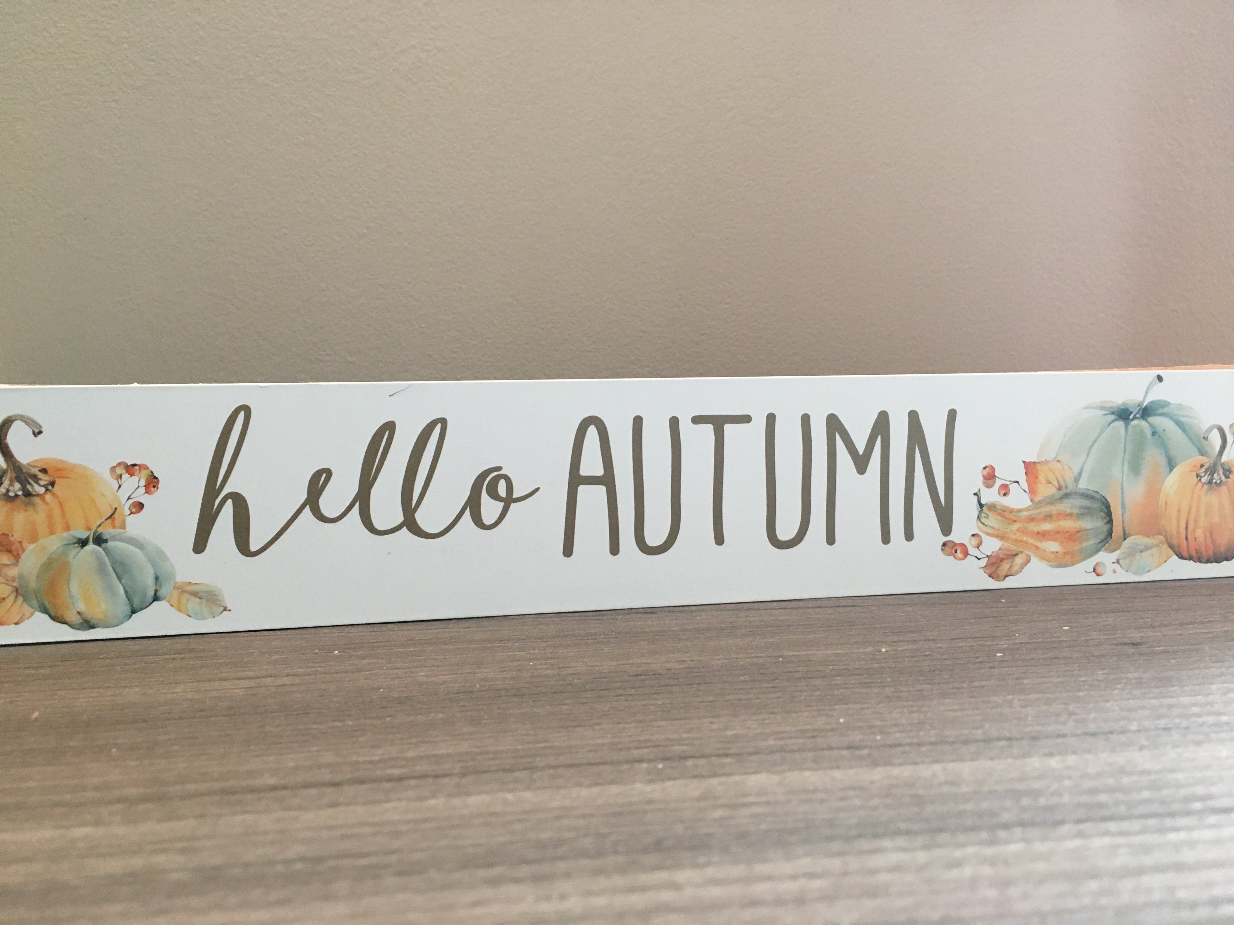 img 0386jpg by Ellie Wilkie?width=698&height=466&fit=crop&auto=webp&dpr=4