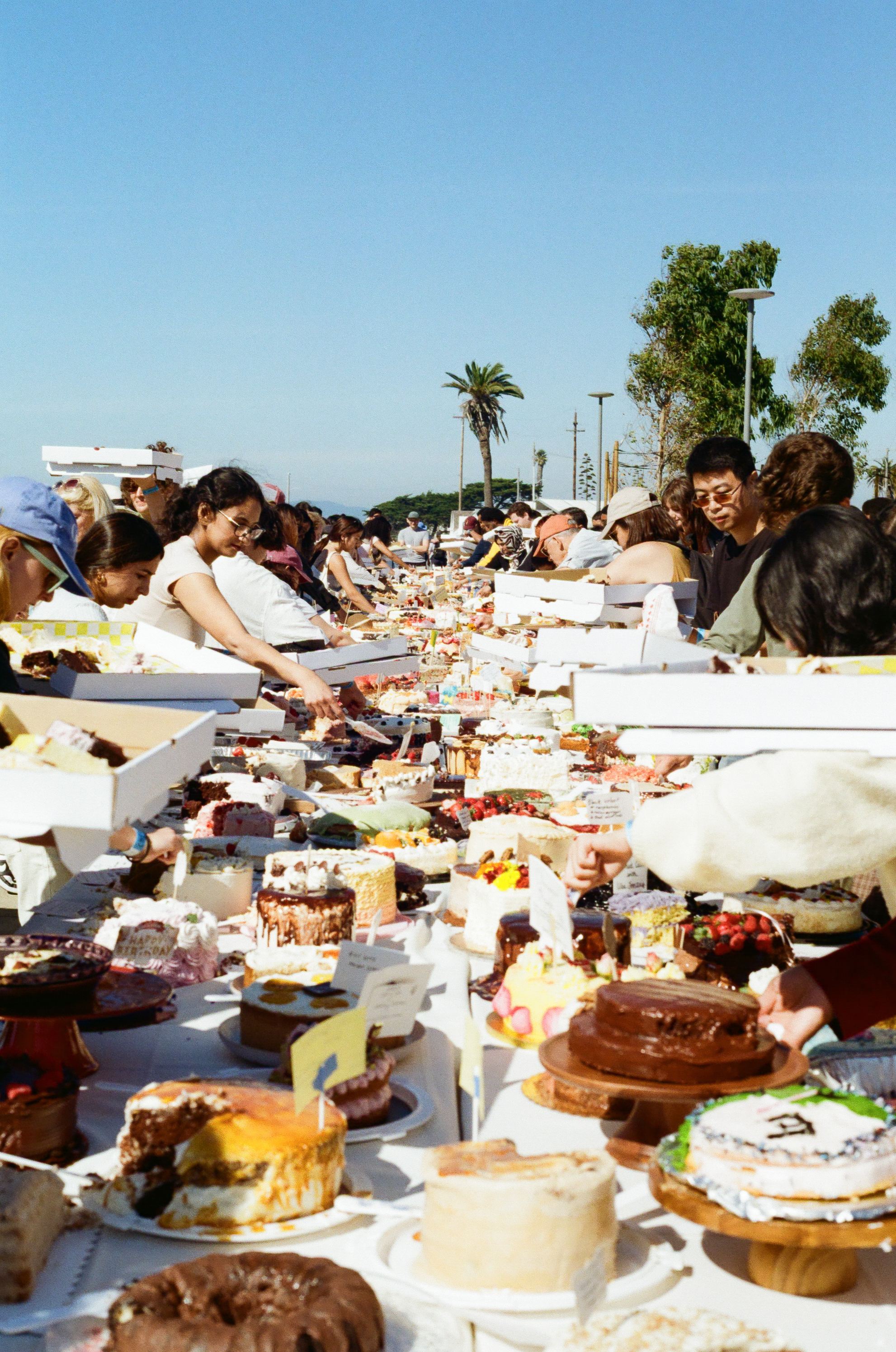 cake picnic