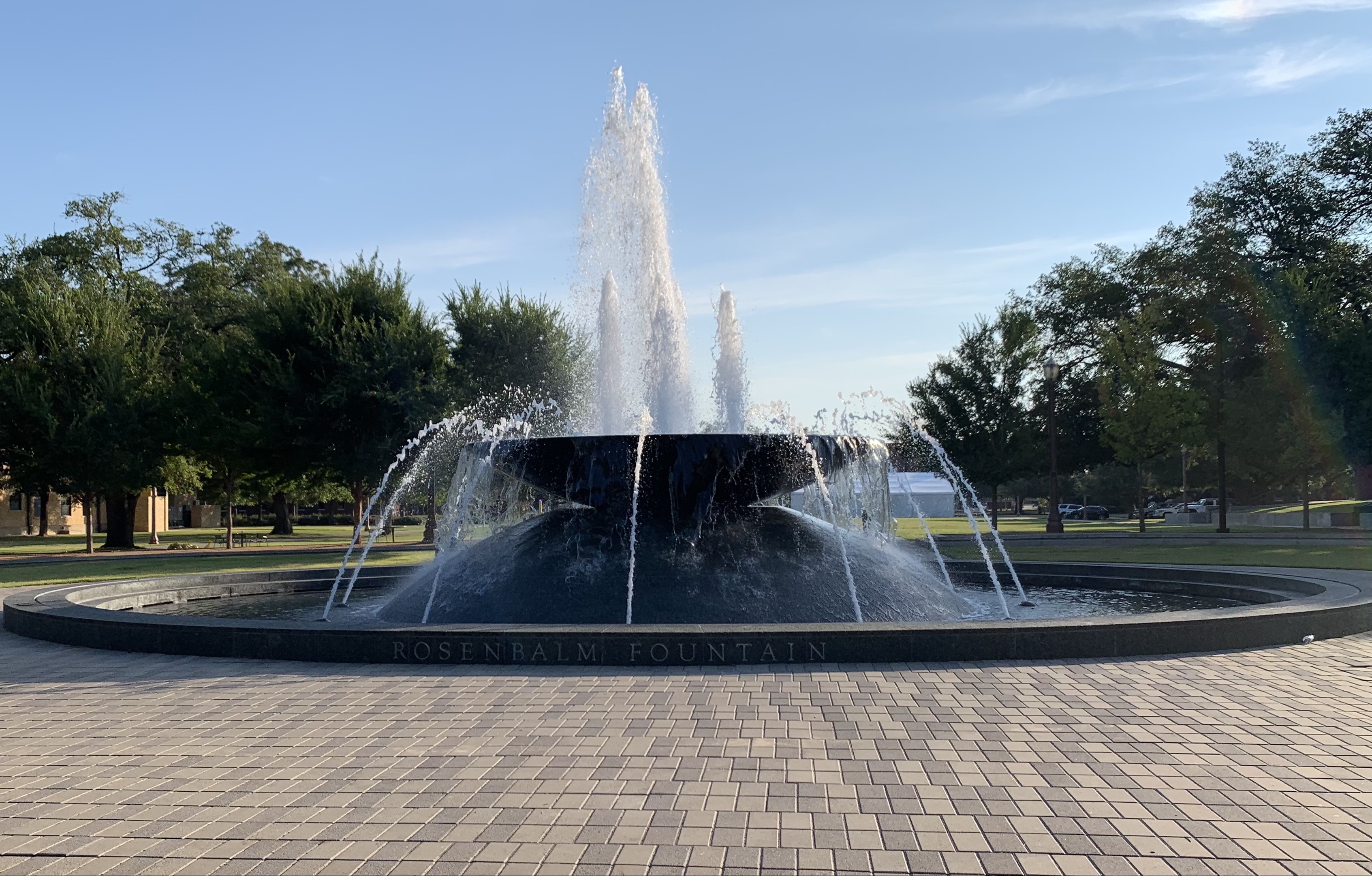 article 1 picjpg by Nishita Sarangdewat