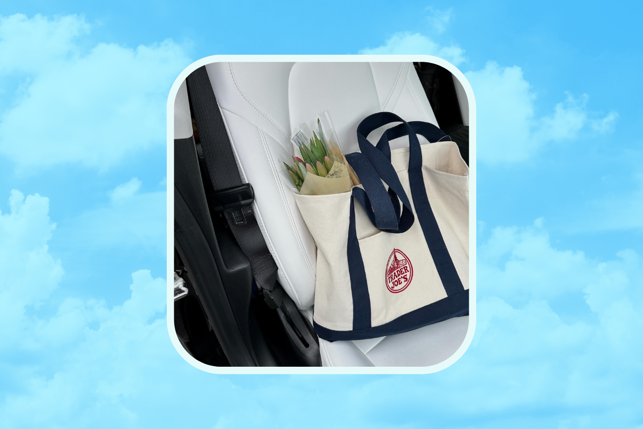 trader joes spring mini tote