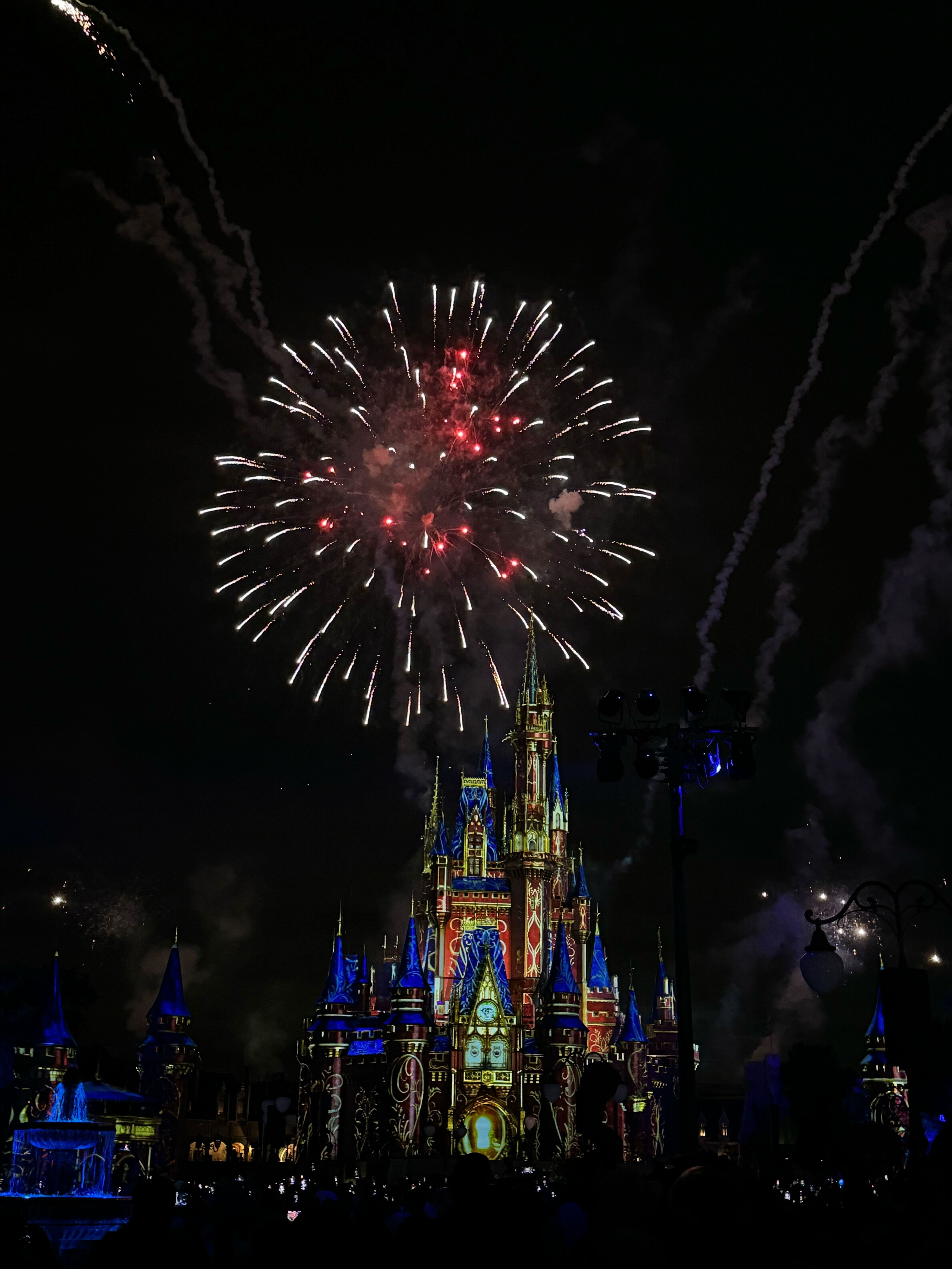 IMG 8415?width=1024&height=1024&fit=cover&auto=webp&dpr=4