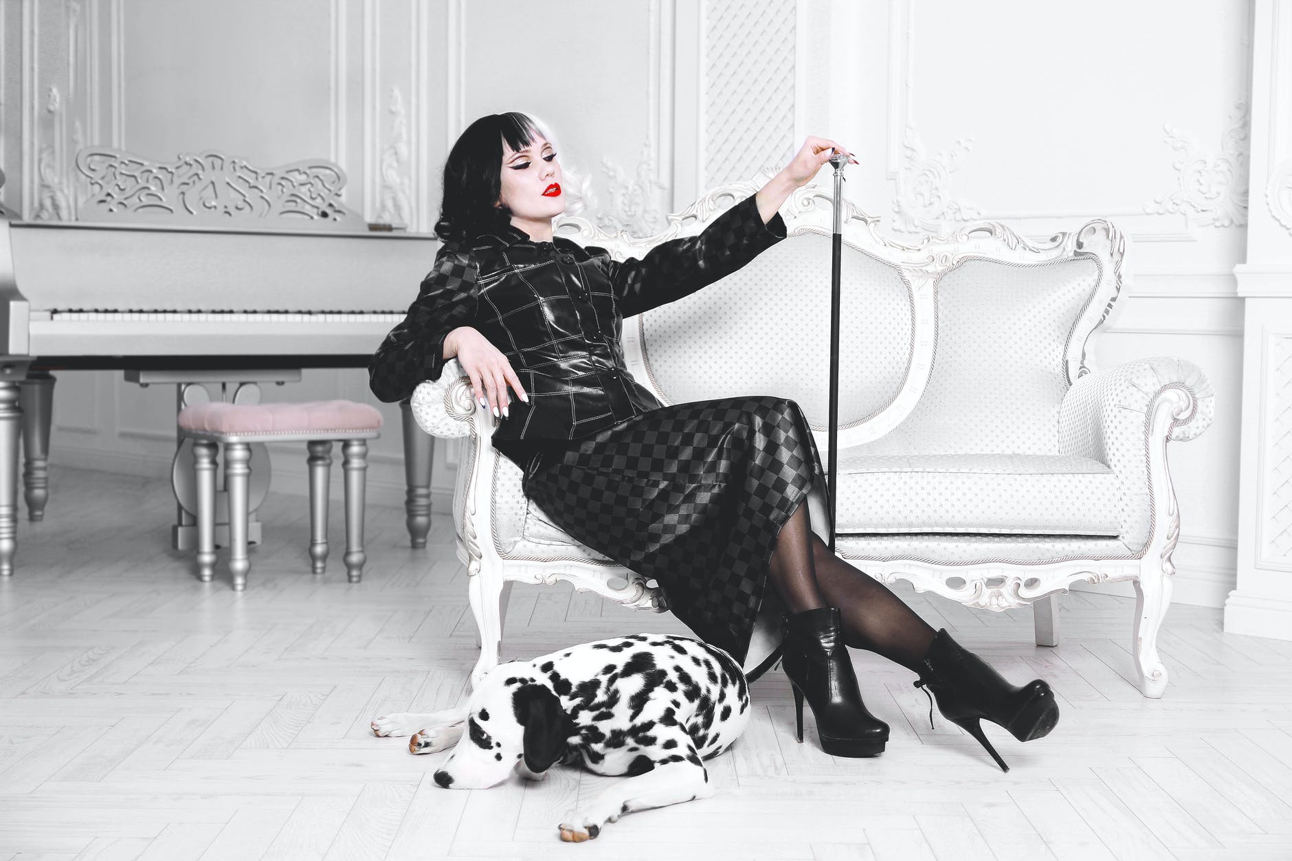 costume of cruella deville