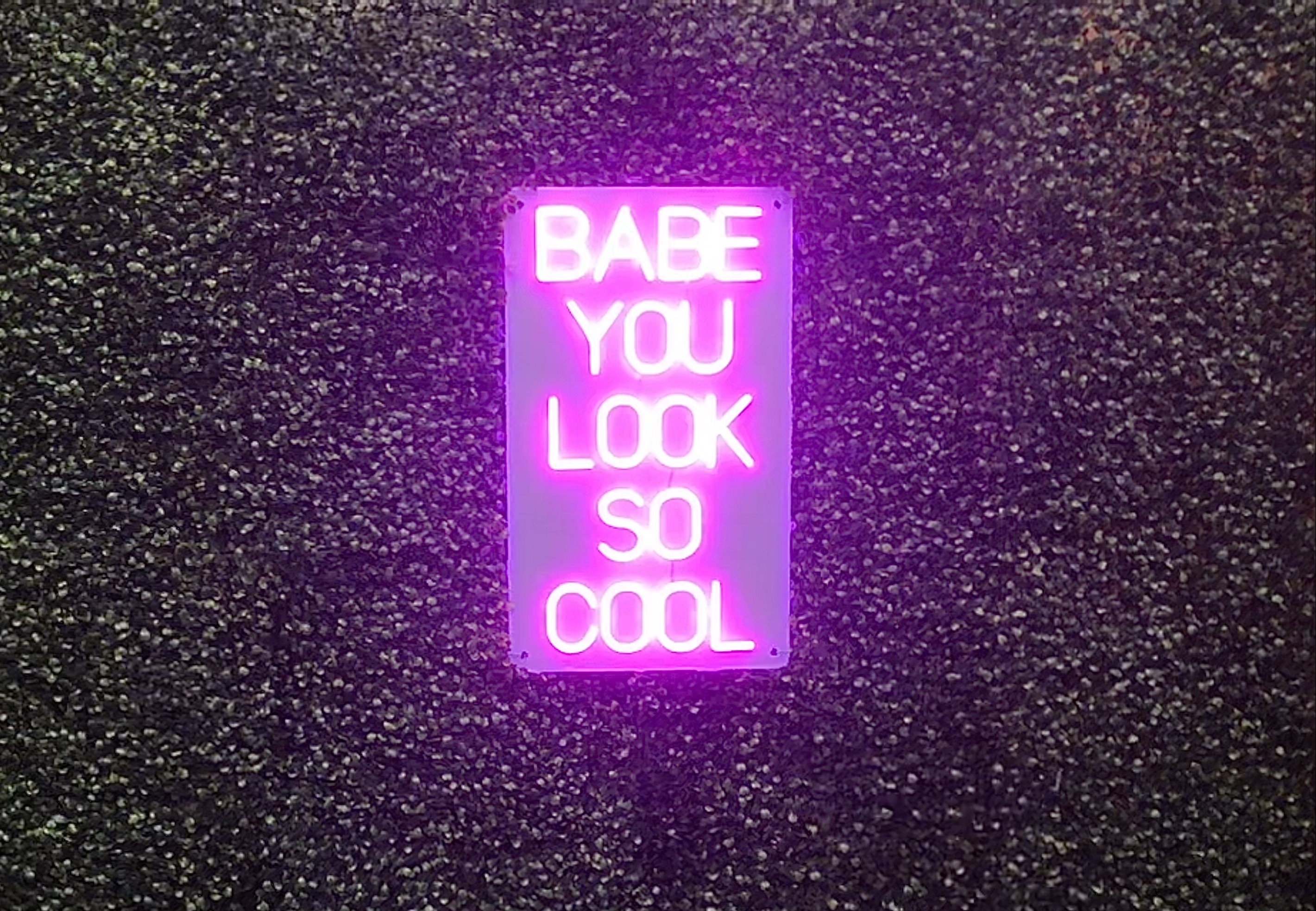 img 7311jpegjpg by Olivia Genco