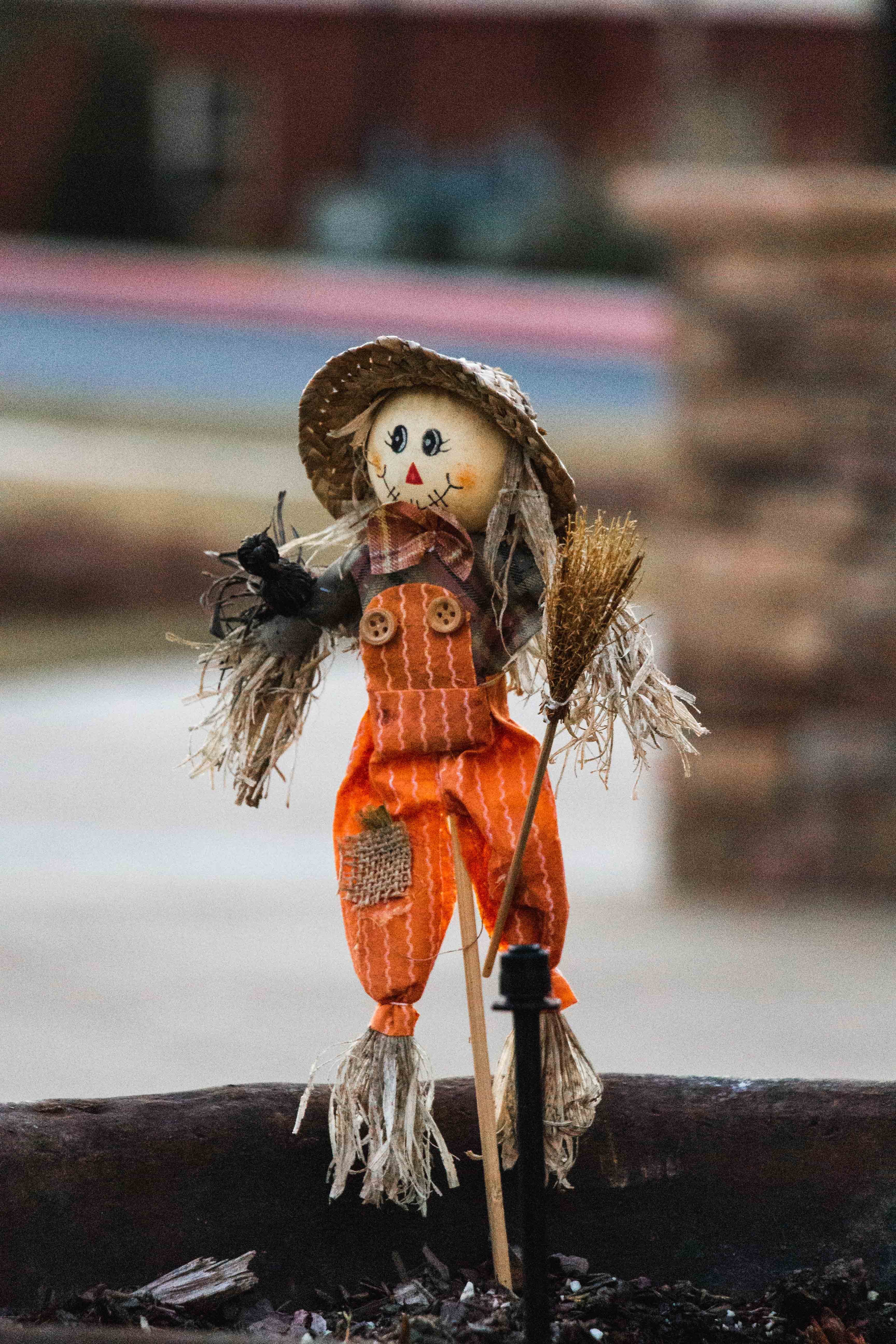 scarecrow in a planter?width=1024&height=1024&fit=cover&auto=webp&dpr=4