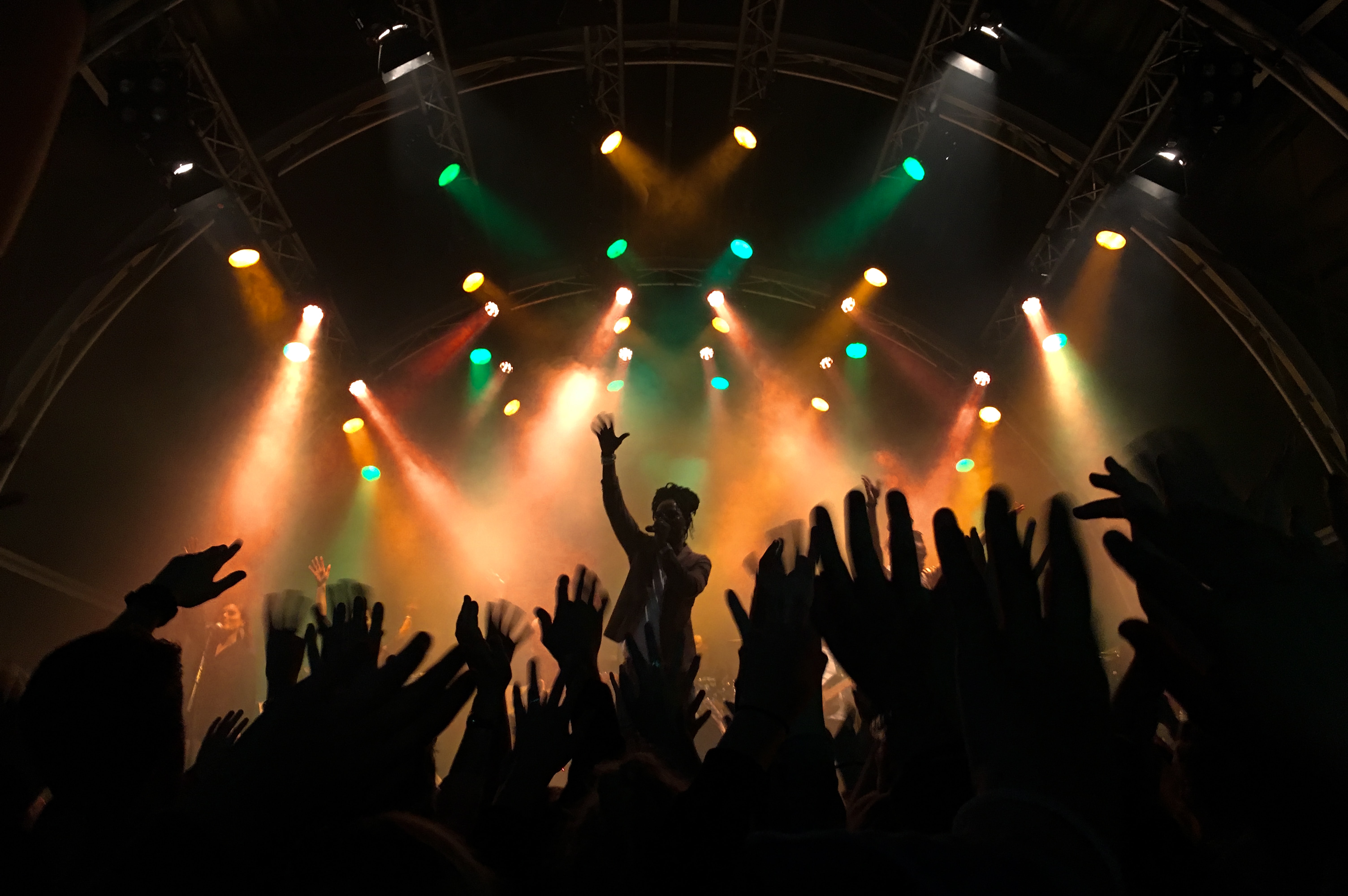 concert with crowd silhouettejpg by Pien Muller?width=698&height=466&fit=crop&auto=webp&dpr=4