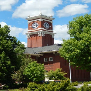washington state university pullman campus