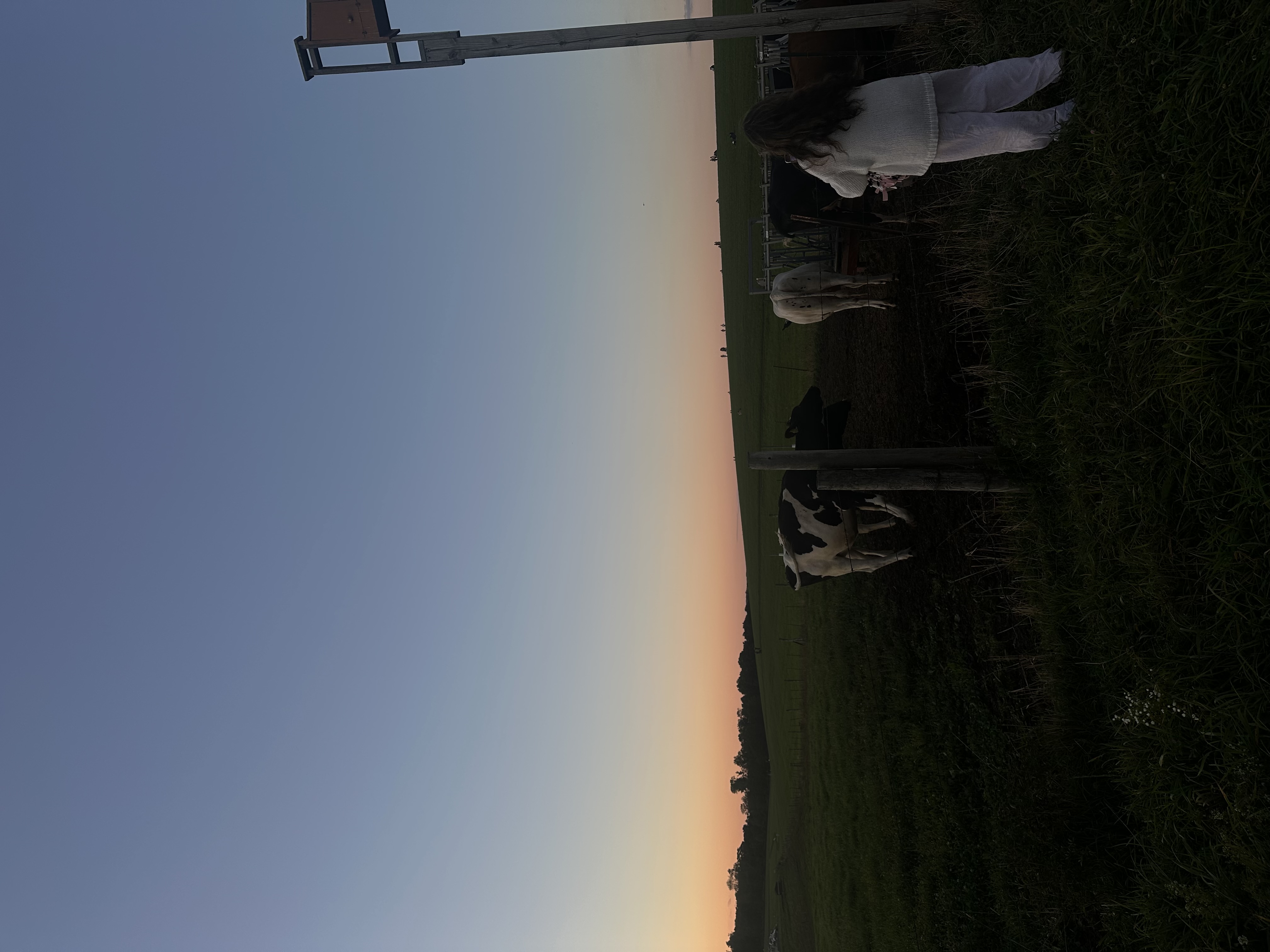 Horsebarn Hill Sunset